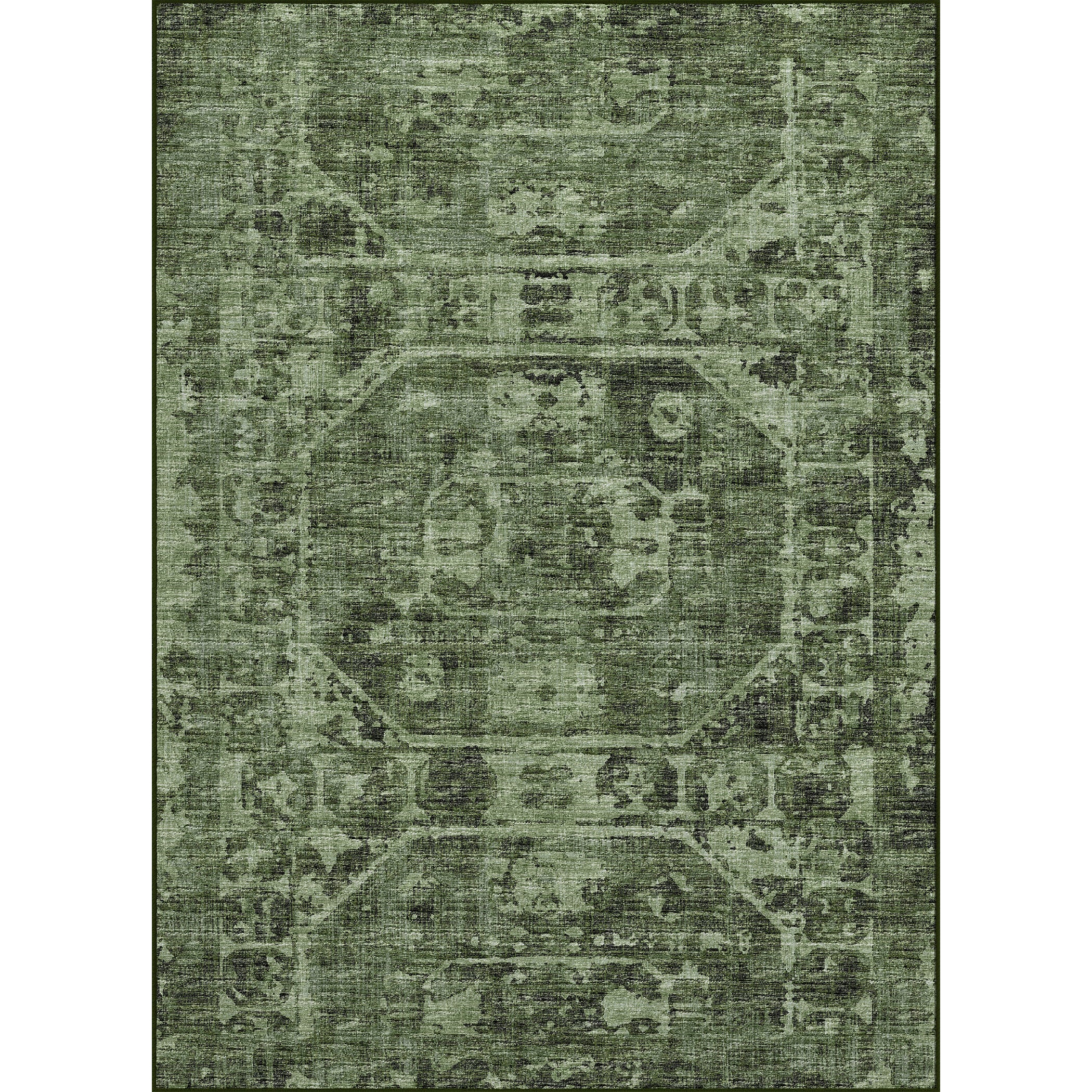 Luxury Machine Washable Indoor/Outdoor Traditional AB2 Cactus Green Rug 3' x 5' #shape_Rectangle