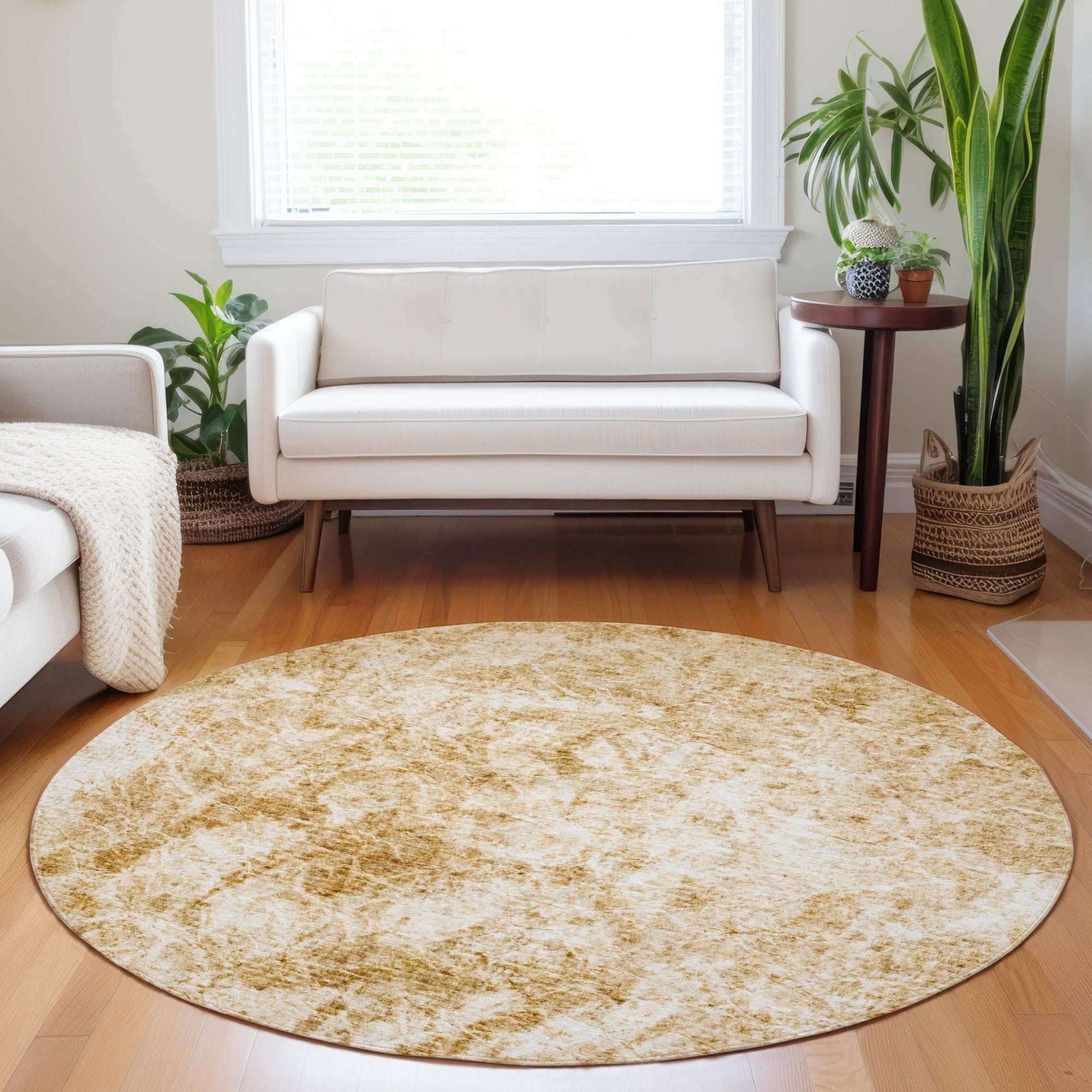 Machine Made ACN553 Beige Brown Rugs