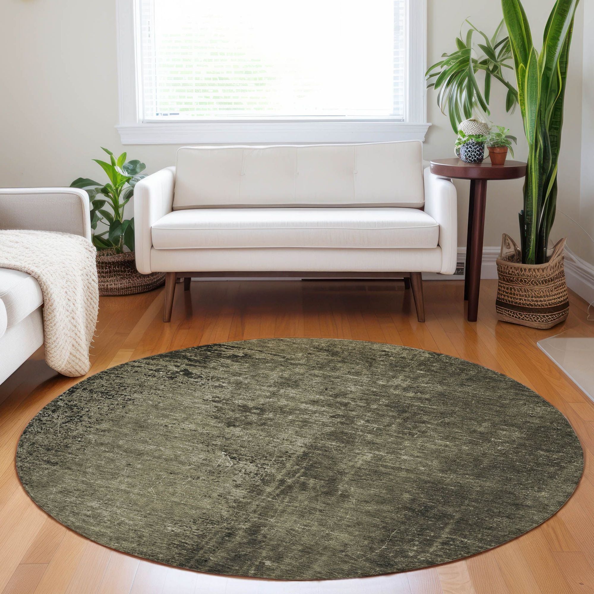 Machine Made ACN554 Gray Rugs