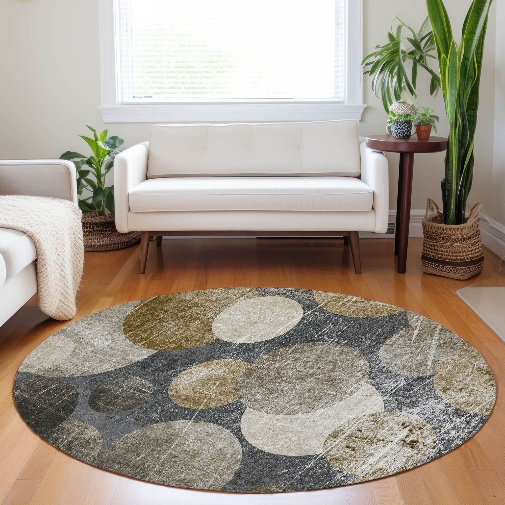 Machine Made ACN556 Brown Rugs