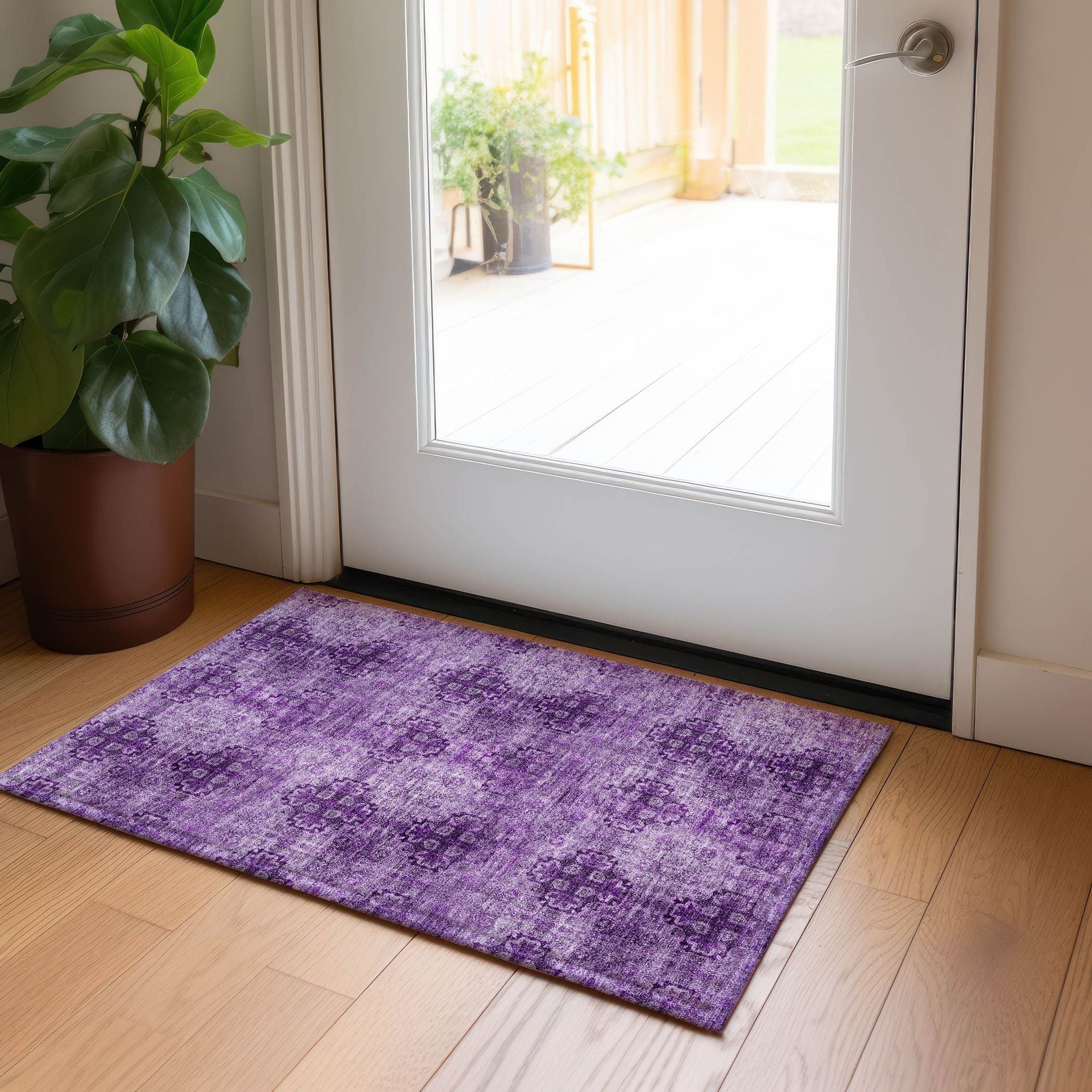 Machine Made ACN557 Eggplant Purple Rugs