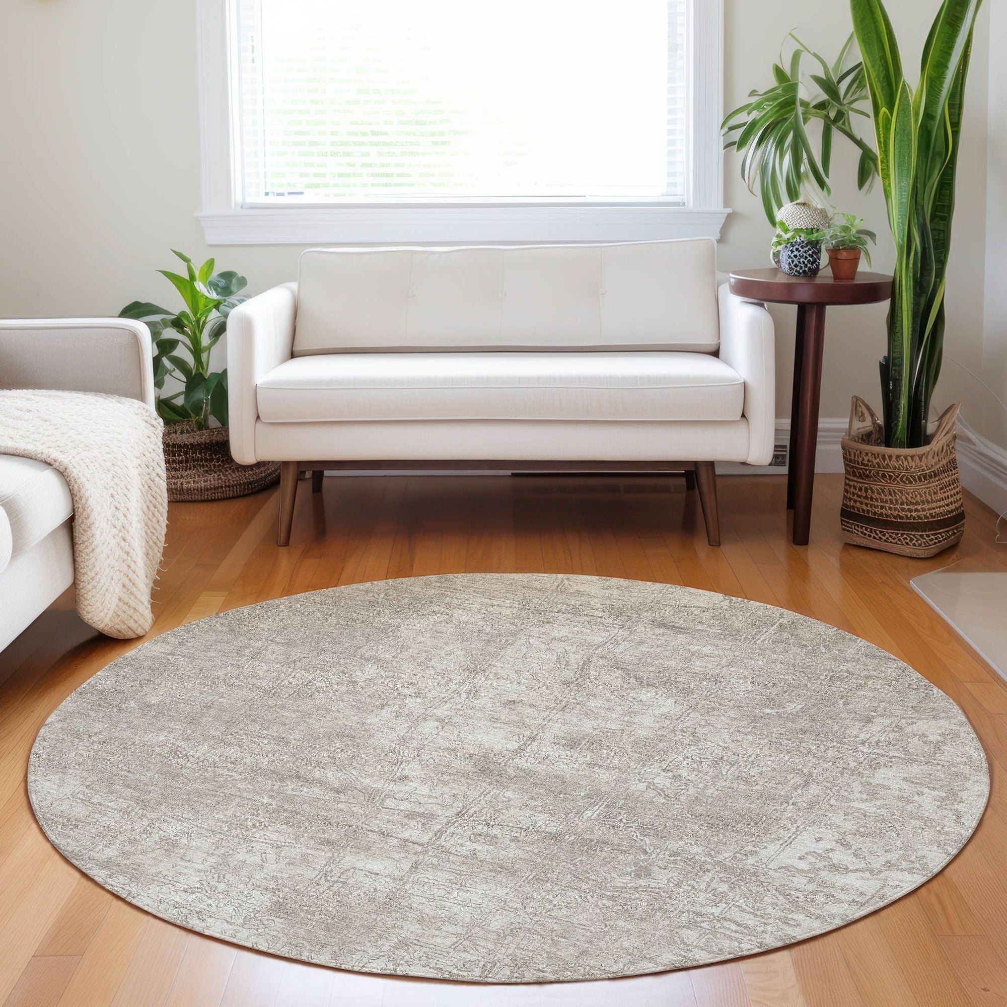 Machine Made ACN559 Ivory Rugs