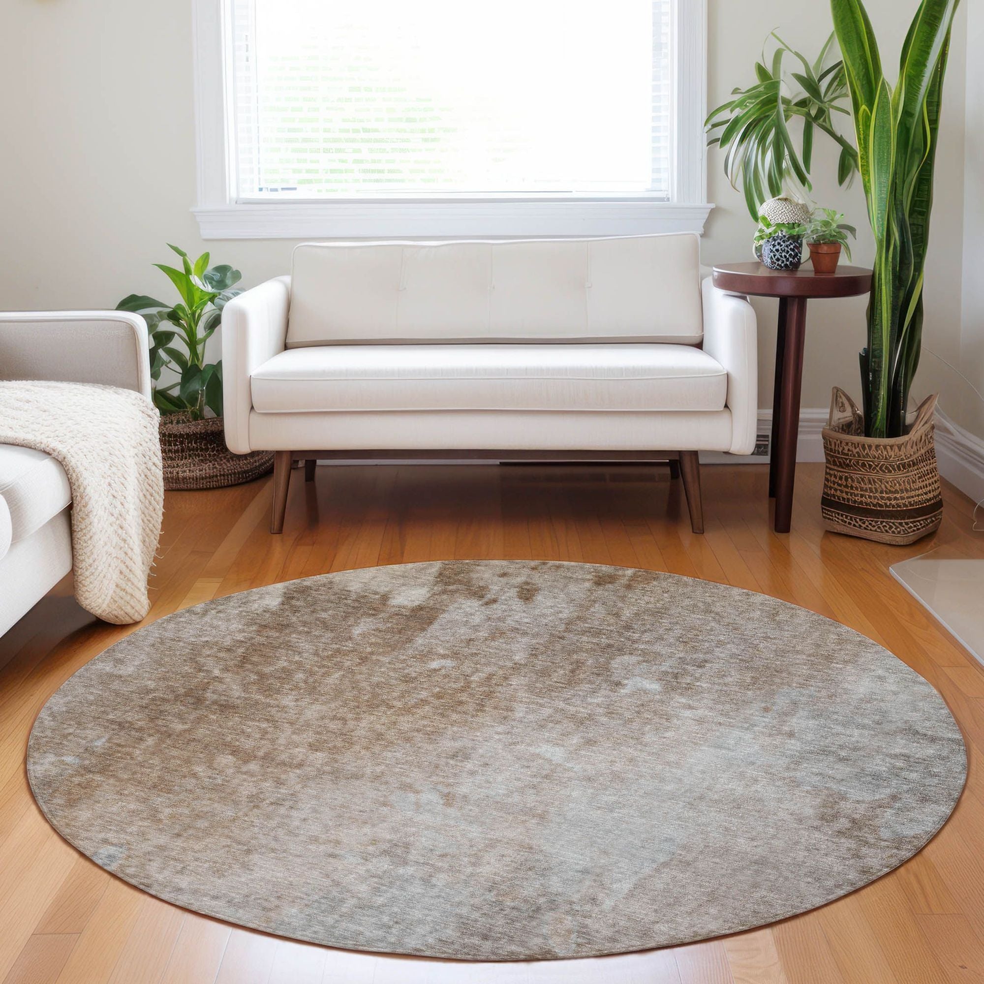 Machine Made ACN562 Mocha Brown Rugs