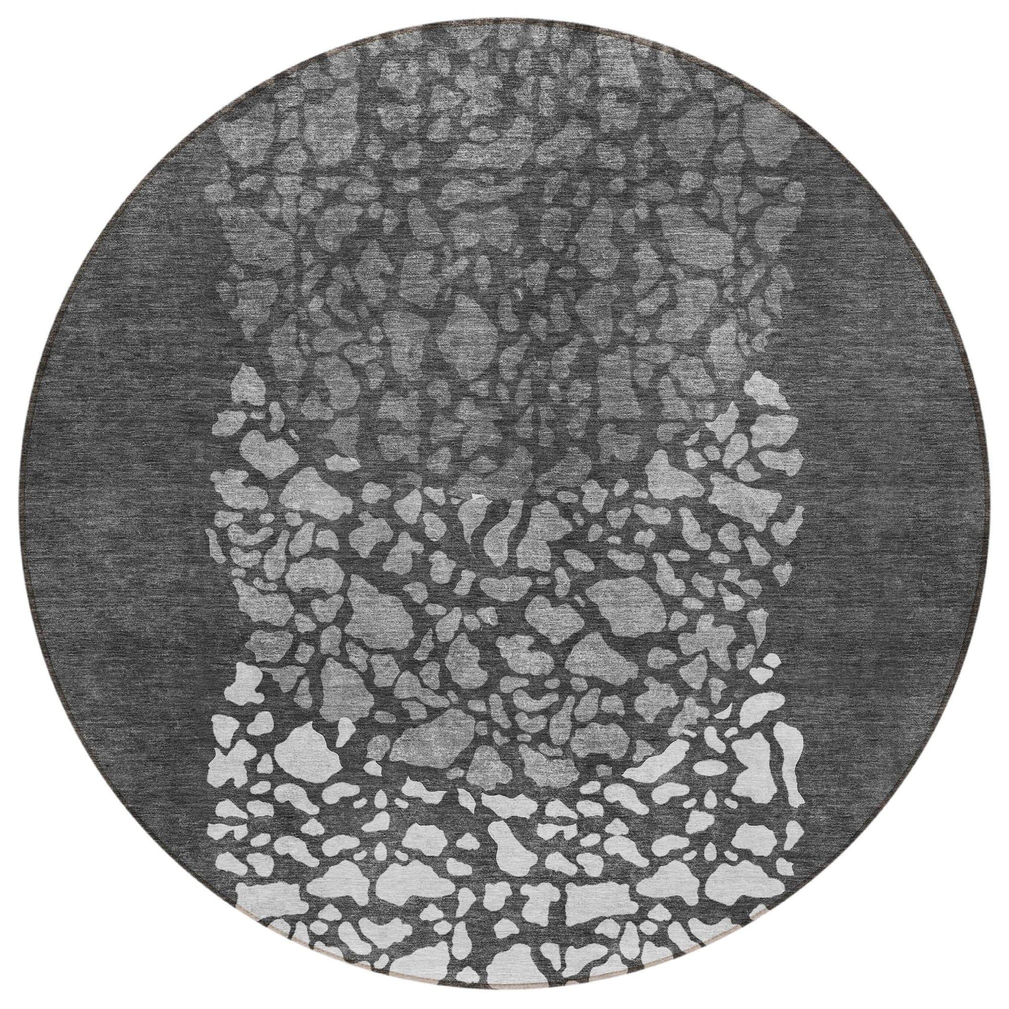 Machine Washable Charcoal Gray Rug - Indoor / Outdoor - Kids / Pet Friendly Circles Print Rug