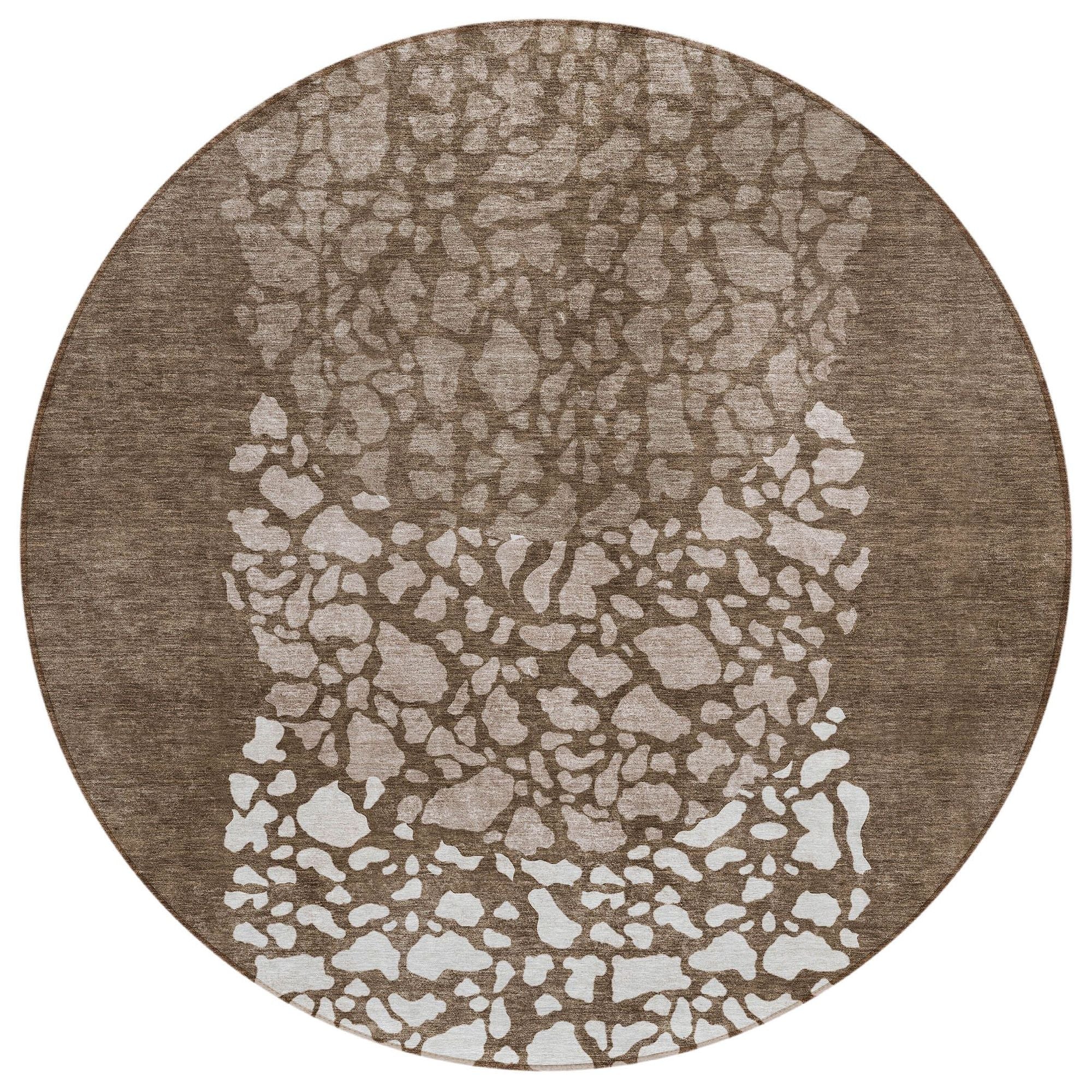 Machine Washable Chocolate Brown Rug - Indoor / Outdoor - Kids / Pet Friendly Circles Print Rug