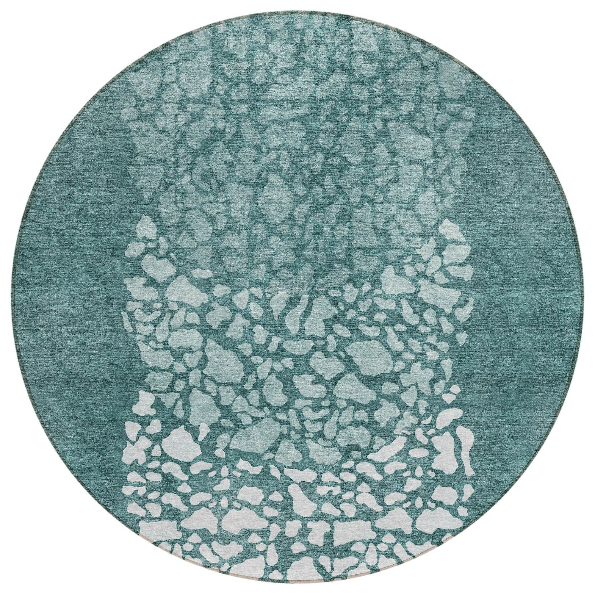 Machine Washable Teal Rug - Indoor / Outdoor - Kids / Pet Friendly Circles Print Rug