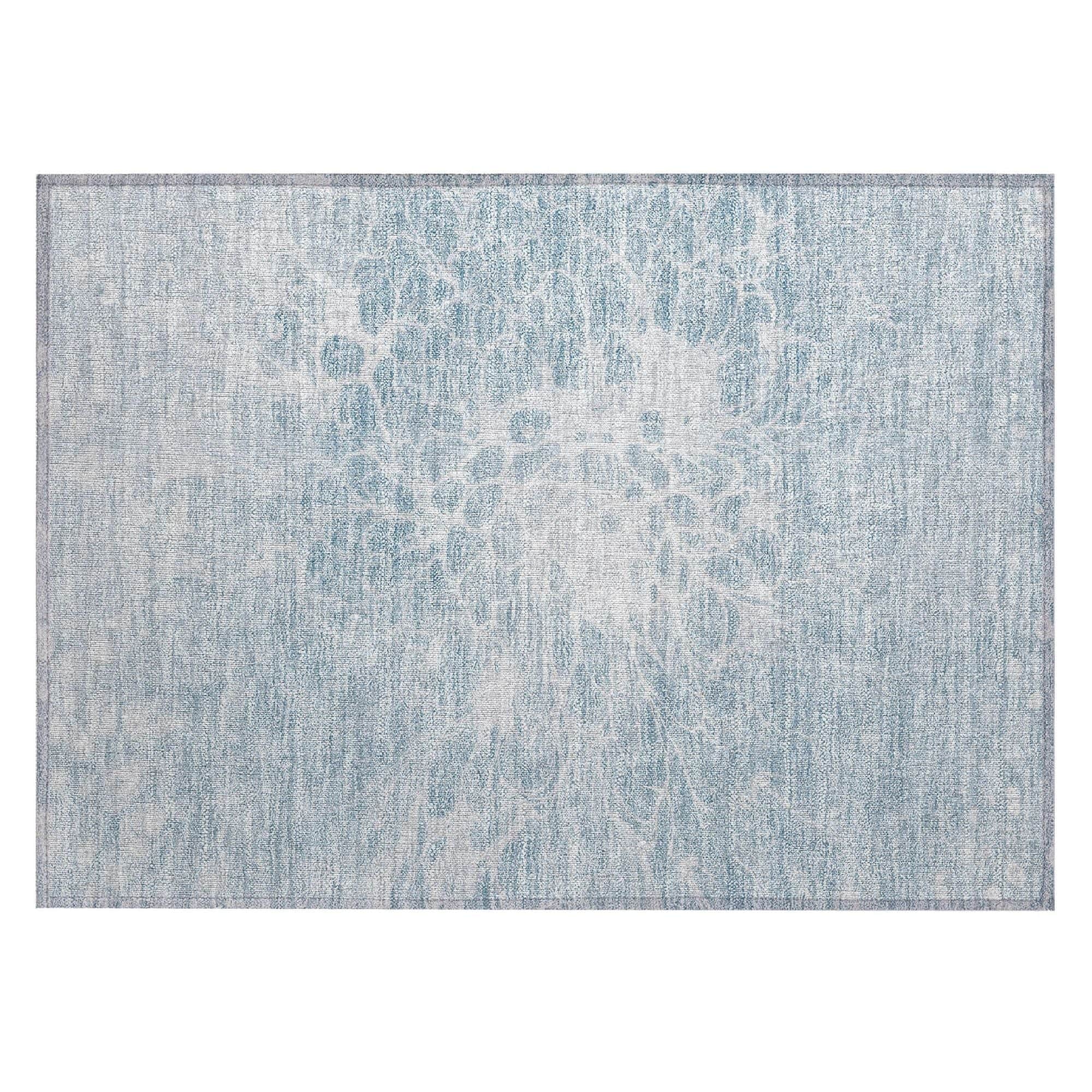 Machine Washable Sky Blue Rug - Indoor / Outdoor - Kids / Pet Friendly Modern Print Rug