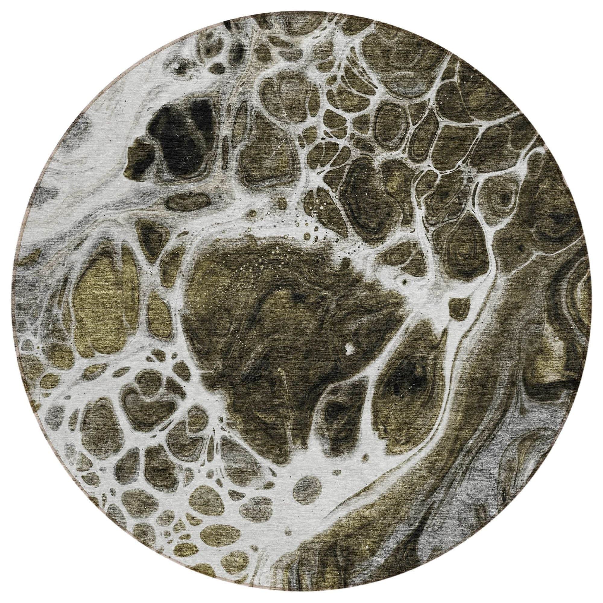 Machine Washable Chocolate Brown Rug - Indoor / Outdoor - Kids / Pet Friendly Modern Print Rug