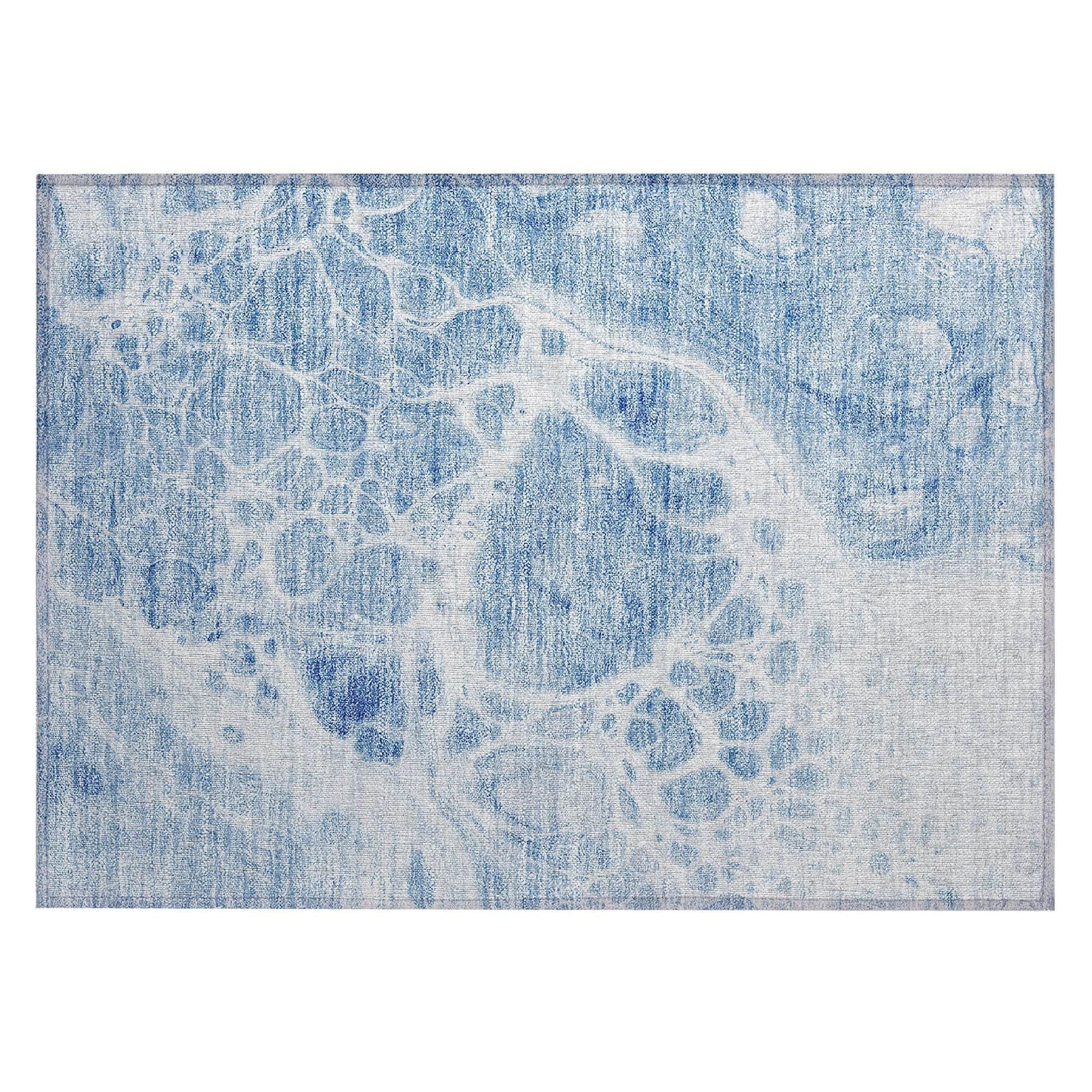Machine Washable Sky Blue Rug - Indoor / Outdoor - Kids / Pet Friendly Modern Print Rug