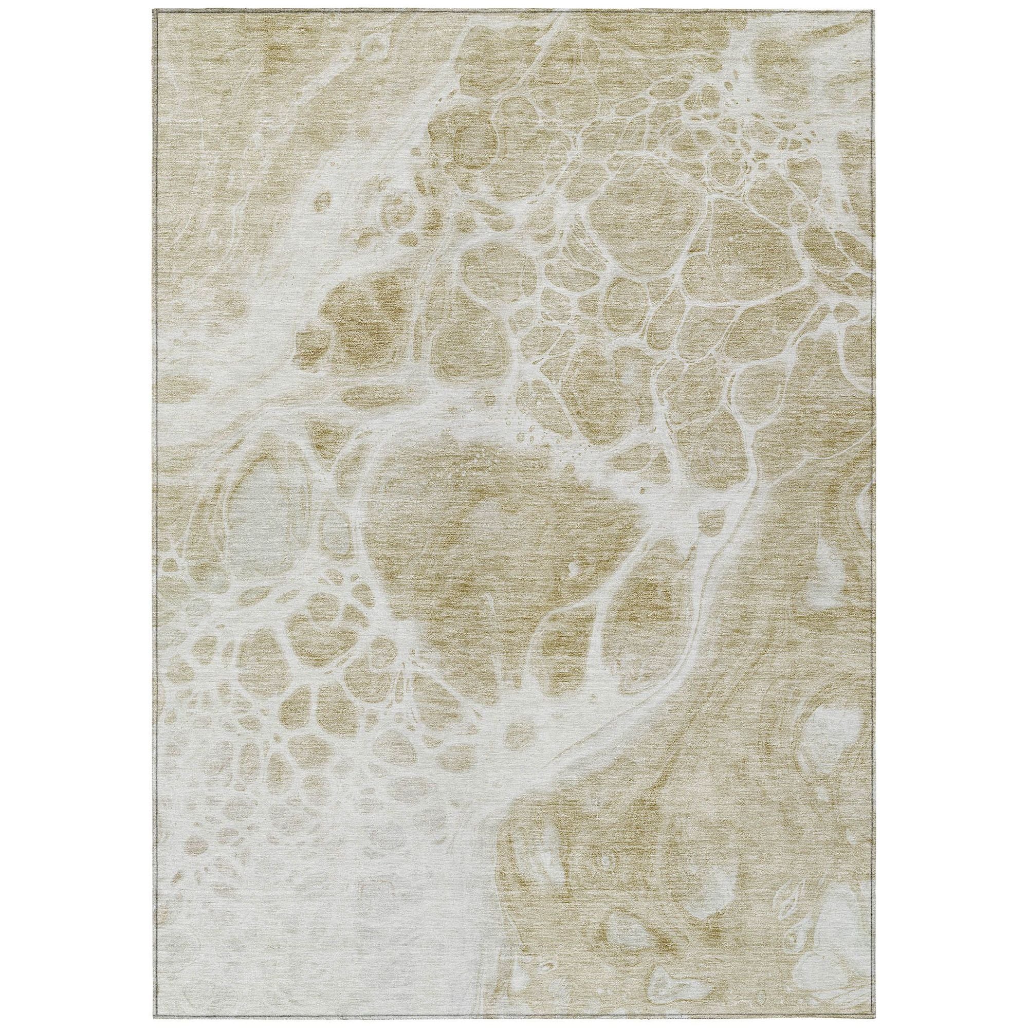 Machine Washable Taupe Brown Rug - Indoor / Outdoor - Kids / Pet Friendly Modern Print Rug