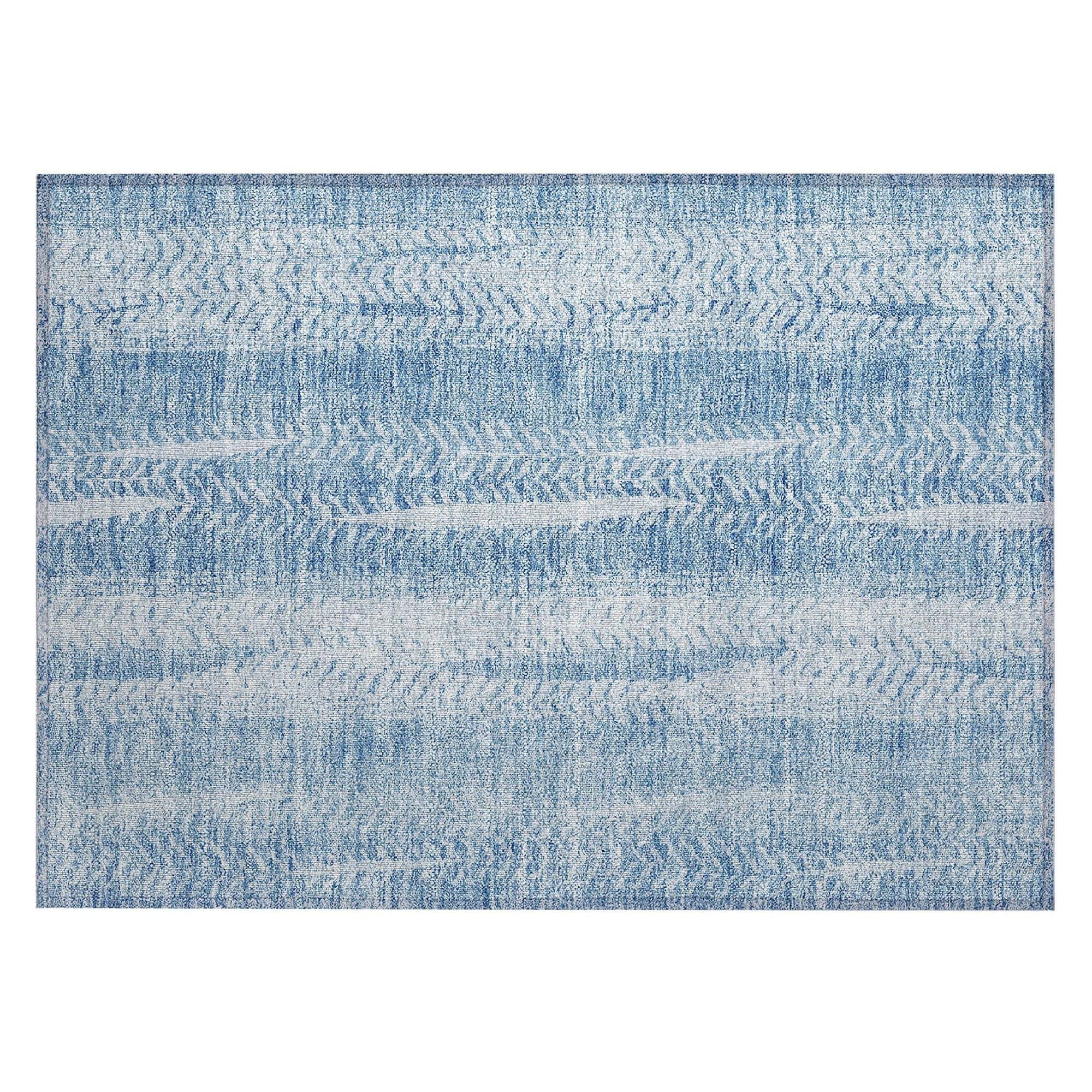Machine Washable Sky Blue Rug - Indoor / Outdoor - Kids / Pet Friendly Organic Print Rug