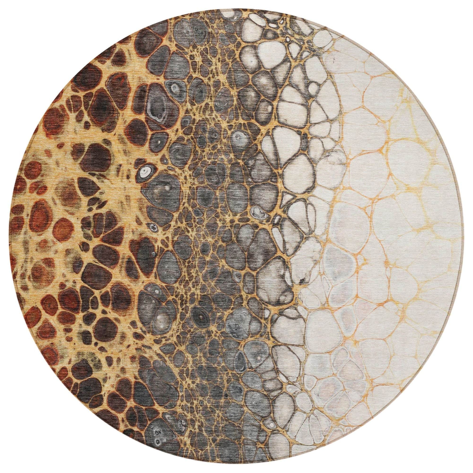 Machine Washable Ivory Rug - Indoor / Outdoor - Kids / Pet Friendly Abstract Print Rug