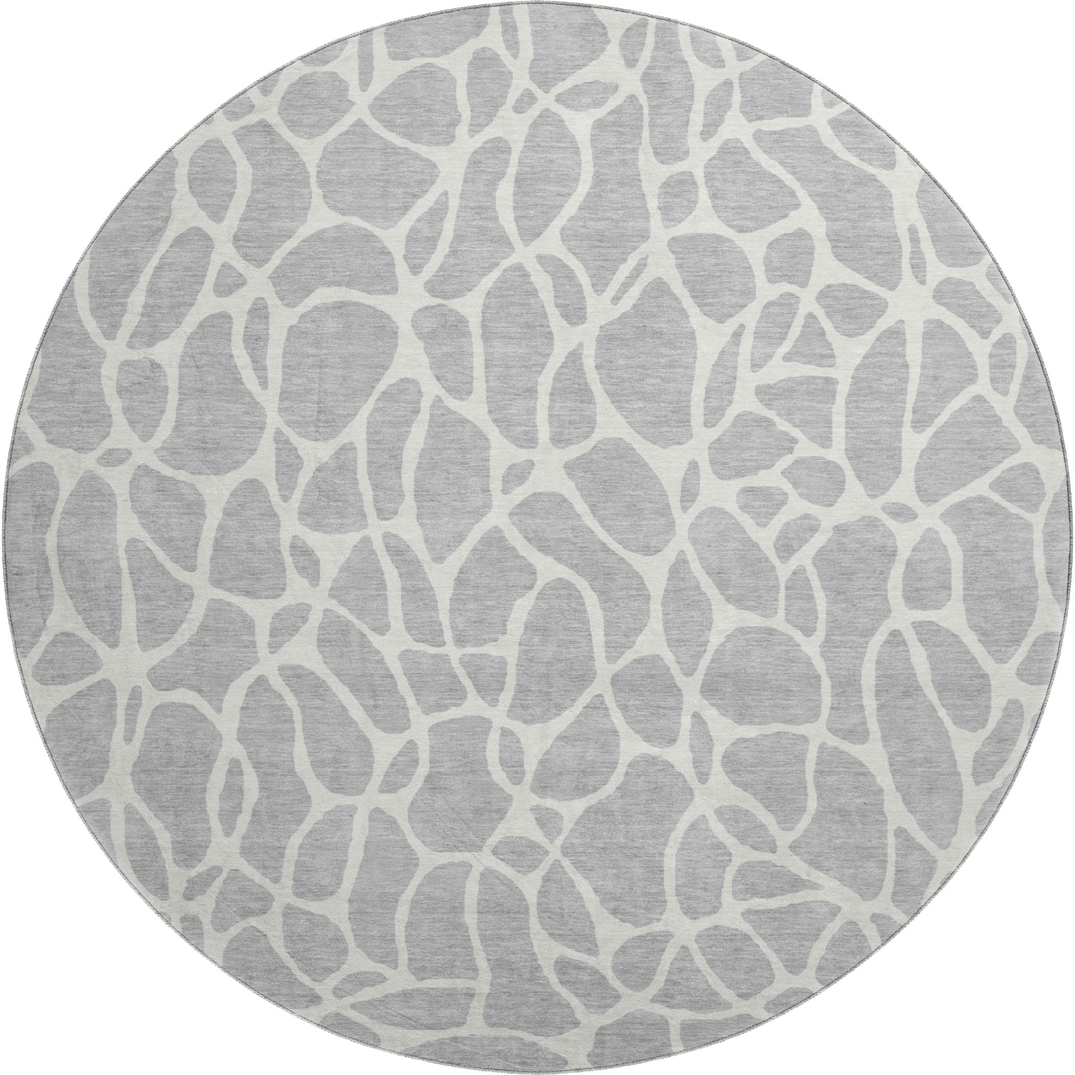 Dublin Machine Washable Transitional Silver Gray Rug 8' x 8' #shape_Round
