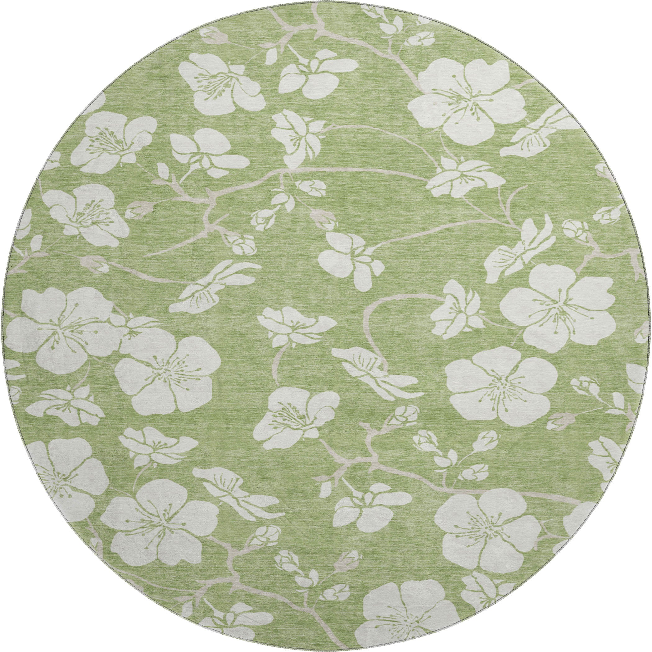 Oaxaca Machine Washable Transitional Aloe Green Rug 8' x 8' #shape_Round