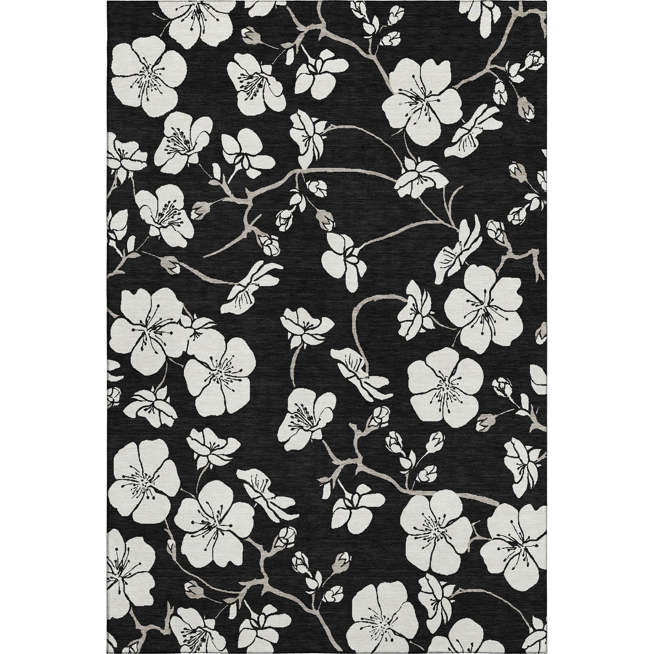 Oaxaca Machine Washable Transitional Black Rug 2'6" x 3'10" #shape_Rectangle