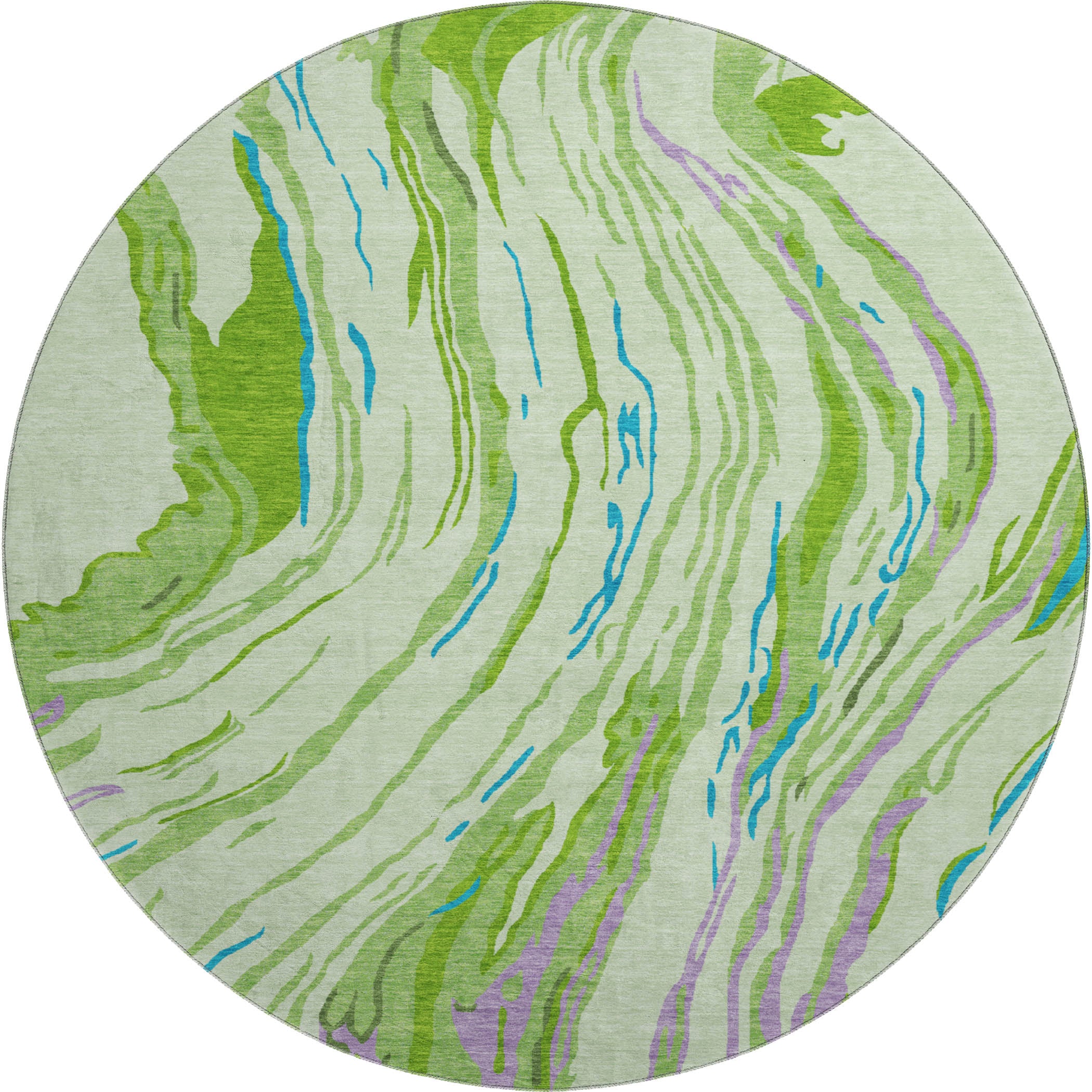 Bogota Machine Washable Transitional Green Rug 8' x 8' #shape_Round