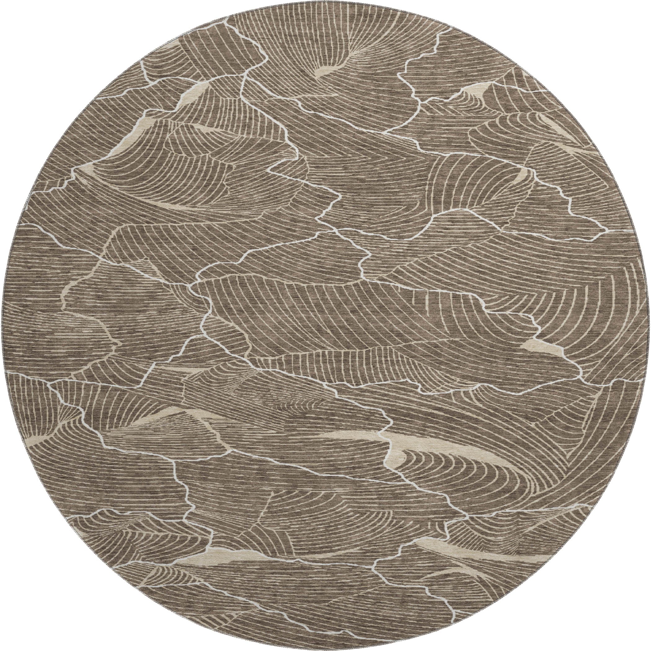 Seville Machine Washable Transitional Brown Rug 8' x 8' #shape_Round