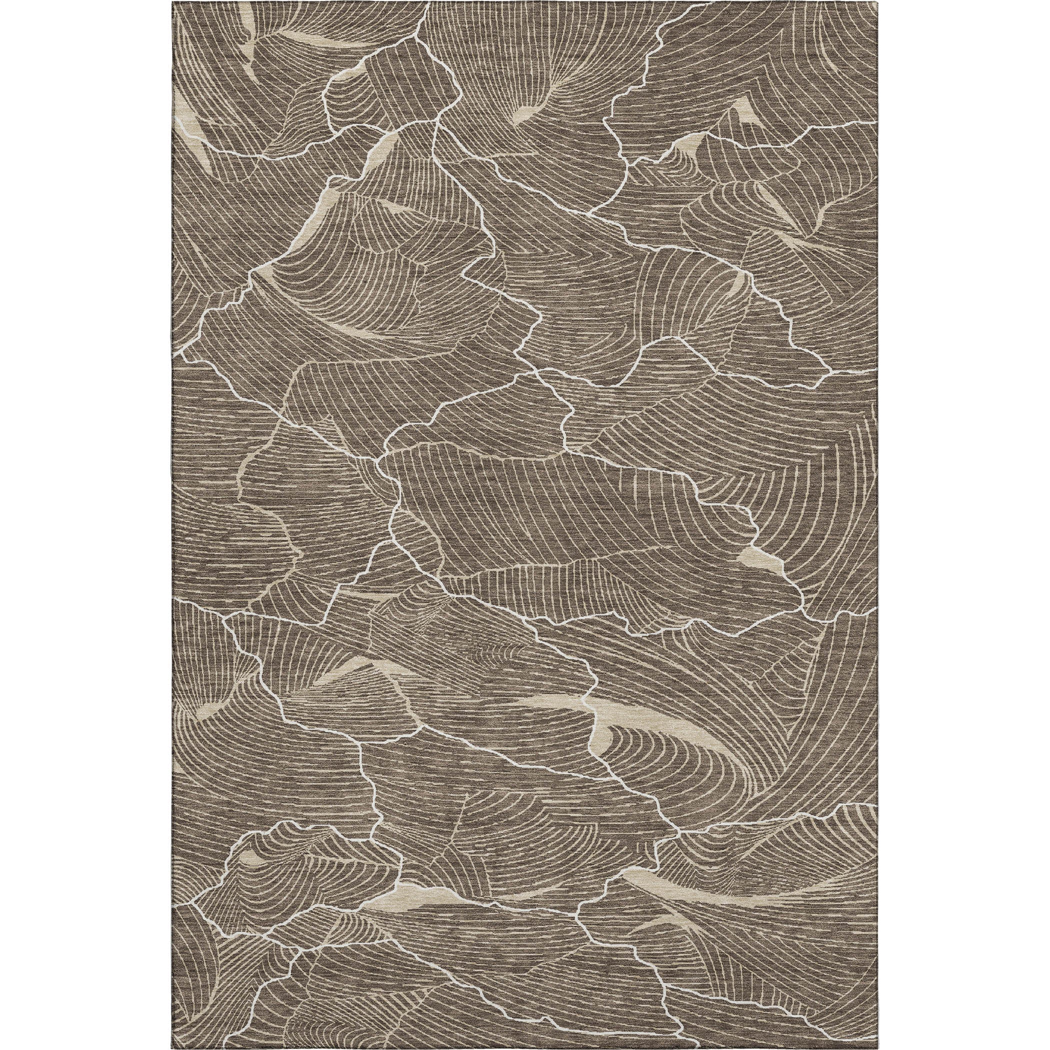 Seville Machine Washable Transitional Brown Rug 2'6" x 3'10" #shape_Rectangle