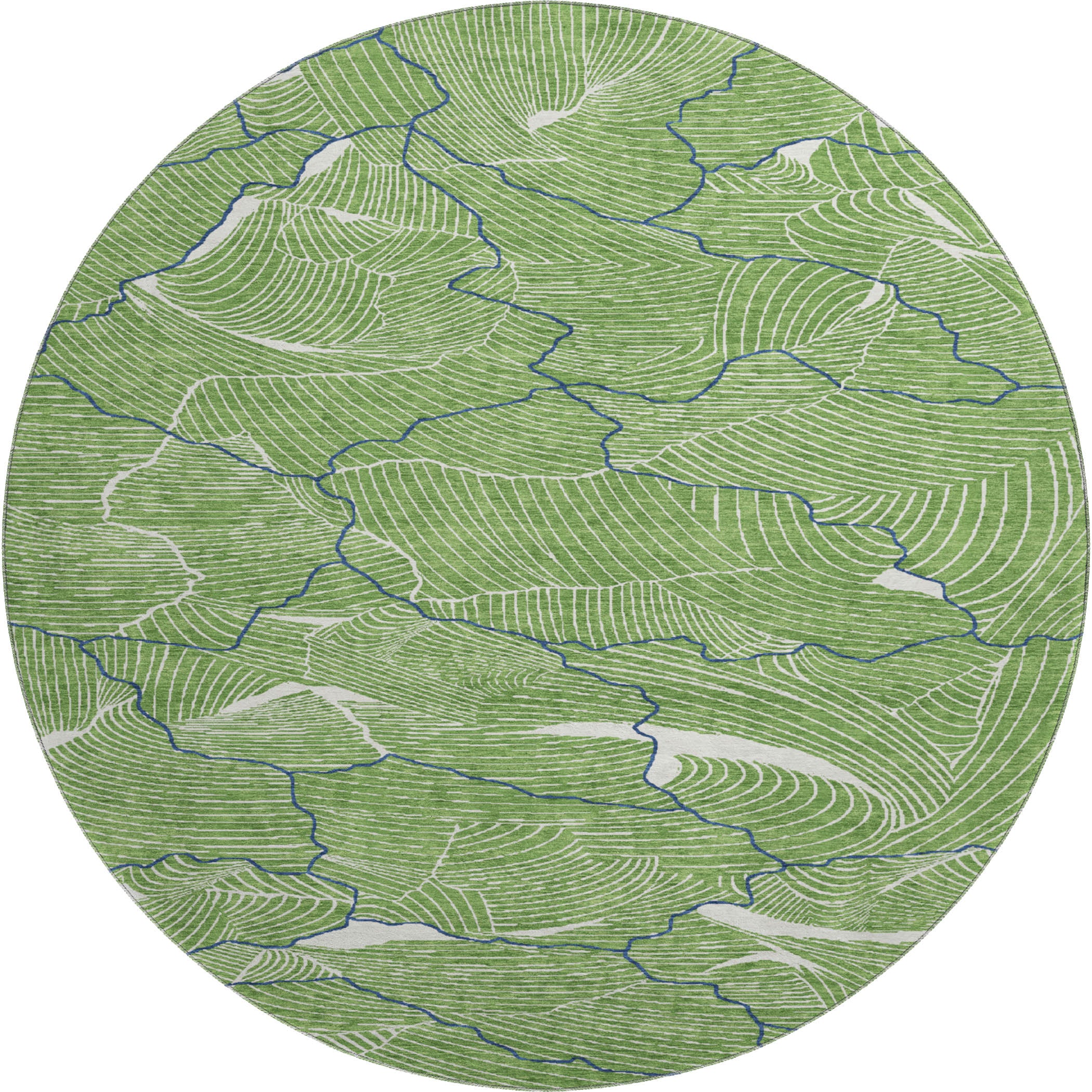 Seville Machine Washable Transitional Green Rug 8' x 8' #shape_Round
