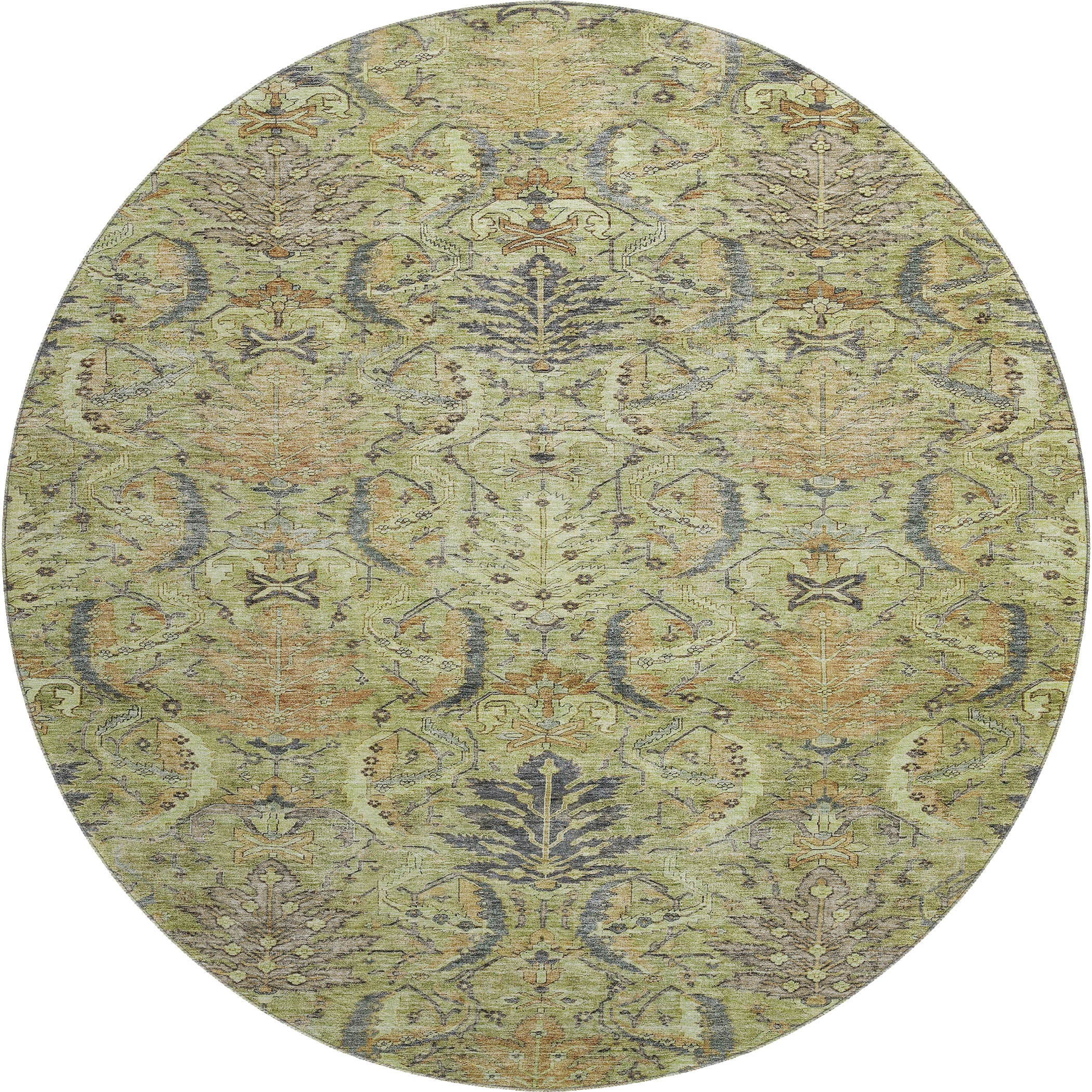 Siena Machine Washable Transitional Aloe Green Rug 8' x 8' #shape_Round