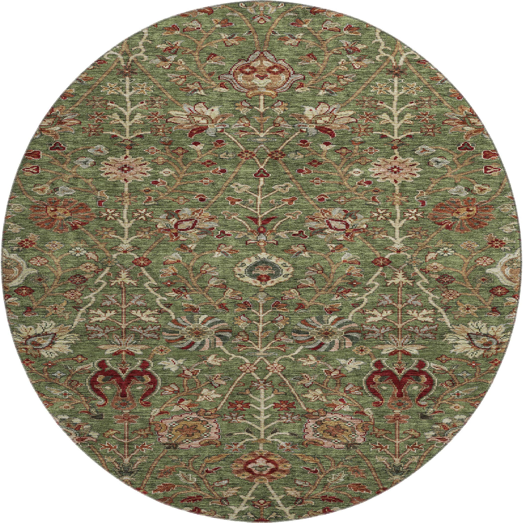 Dubrovnik Machine Washable Transitional Fern Green Rug 8' x 8' #shape_Round
