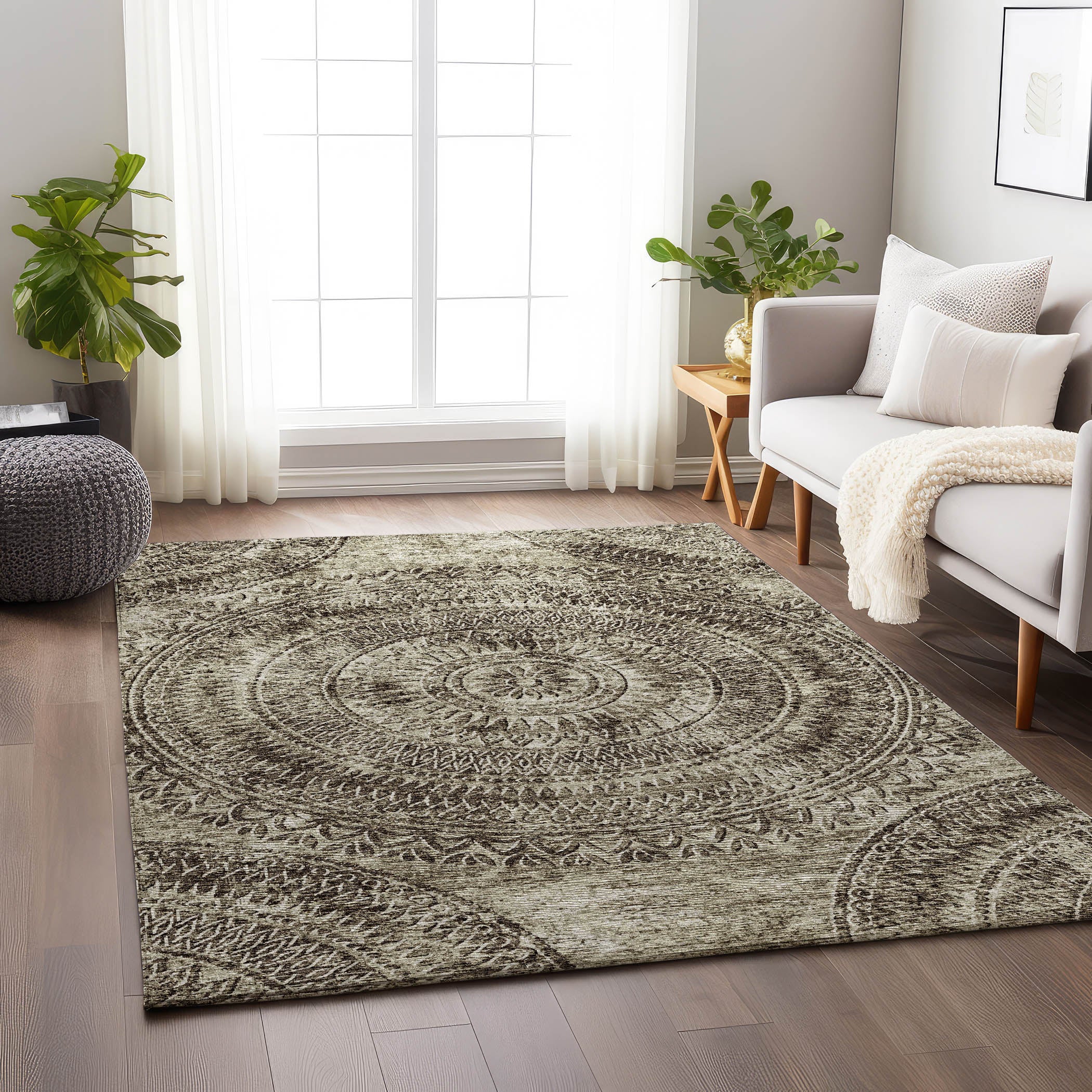 Antigua Machine Washable Transitional Brown Rug 2'6" x 3'10" #shape_Rectangle