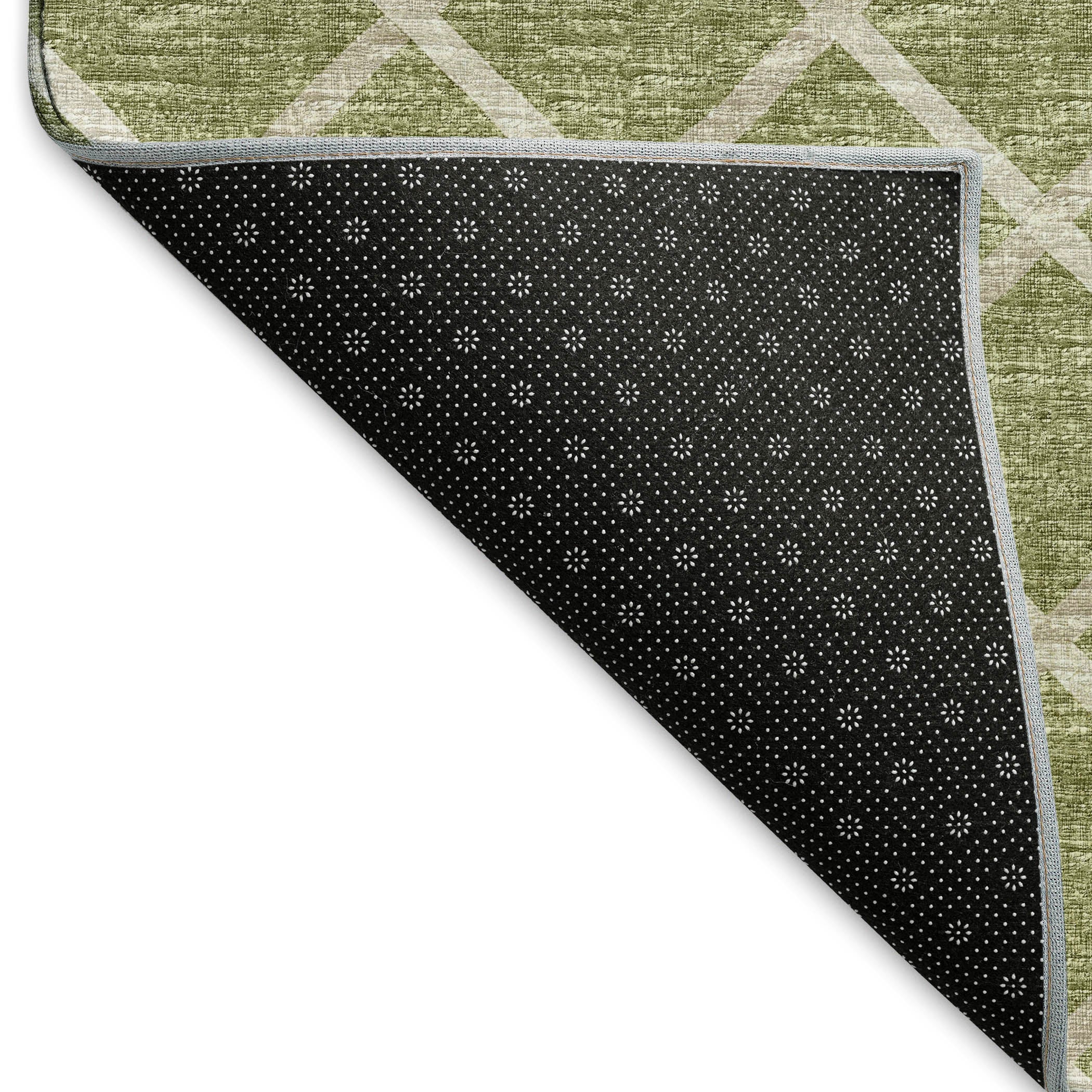 Oaxaca Machine Washable Transitional Aloe Green Rug 1'8" x 2'6" #shape_Rectangle