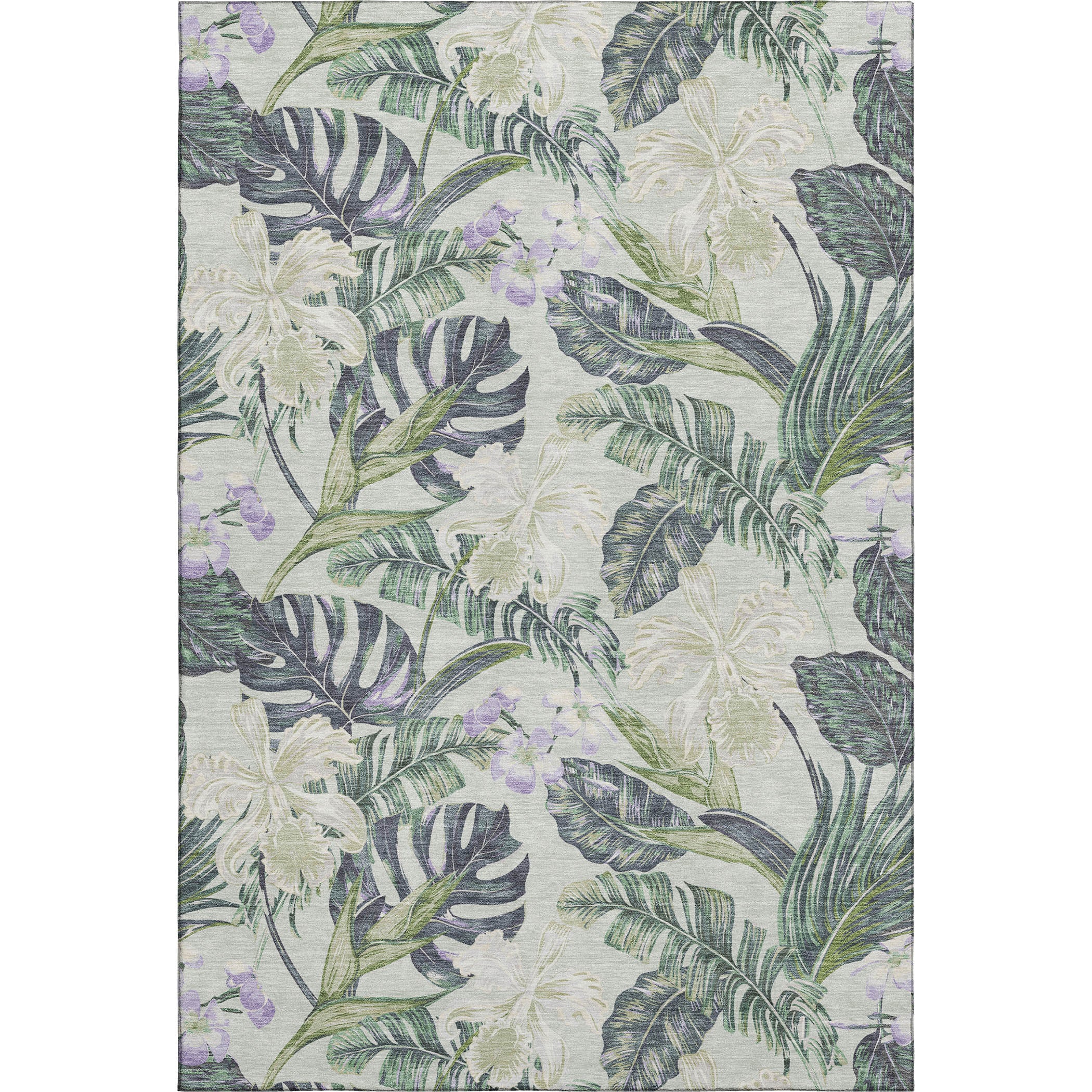 Dubrovnik Machine Washable Transitional Aloe Green Rug 2'6" x 3'10" #shape_Rectangle