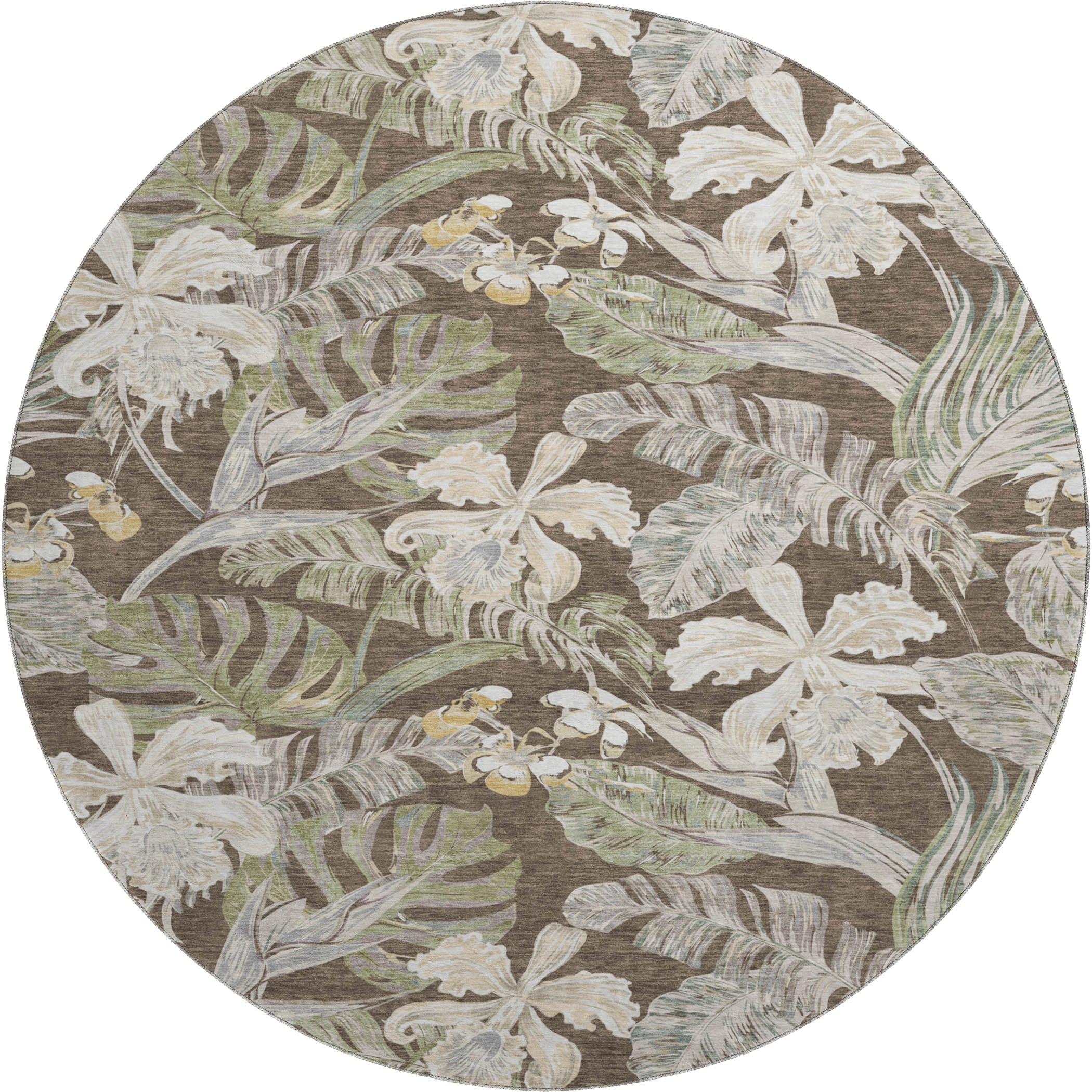 Dubrovnik Machine Washable Transitional Brown Rug 8' x 8' #shape_Round
