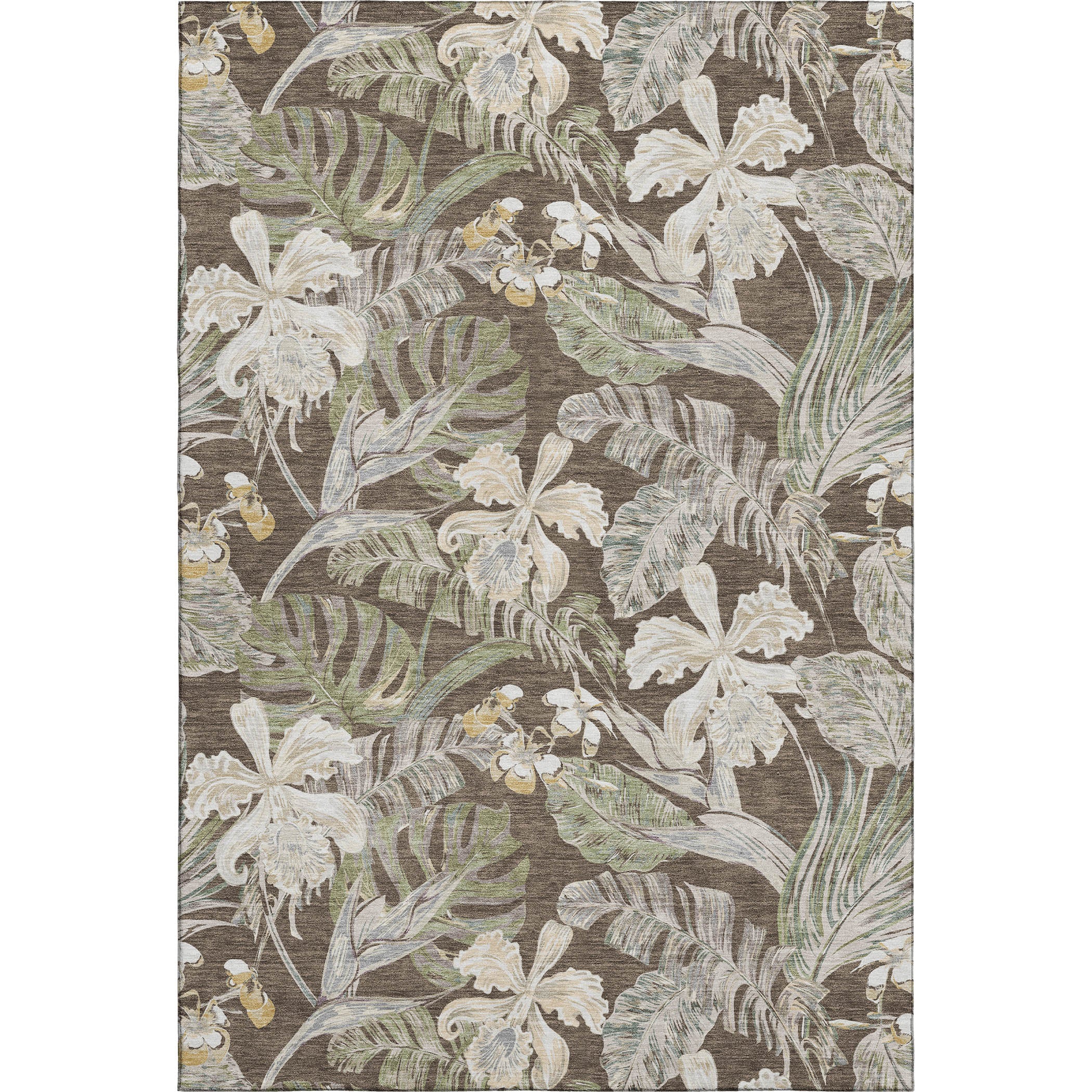 Dubrovnik Machine Washable Transitional Brown Rug 2'6" x 3'10" #shape_Rectangle