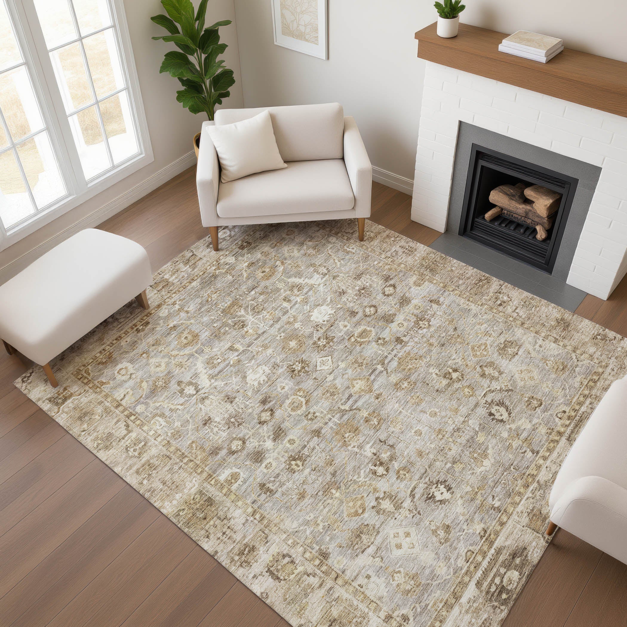 Cairo Machine Washable Traditional Taupe Brown Rug 2'6" x 3'10" #shape_Rectangle