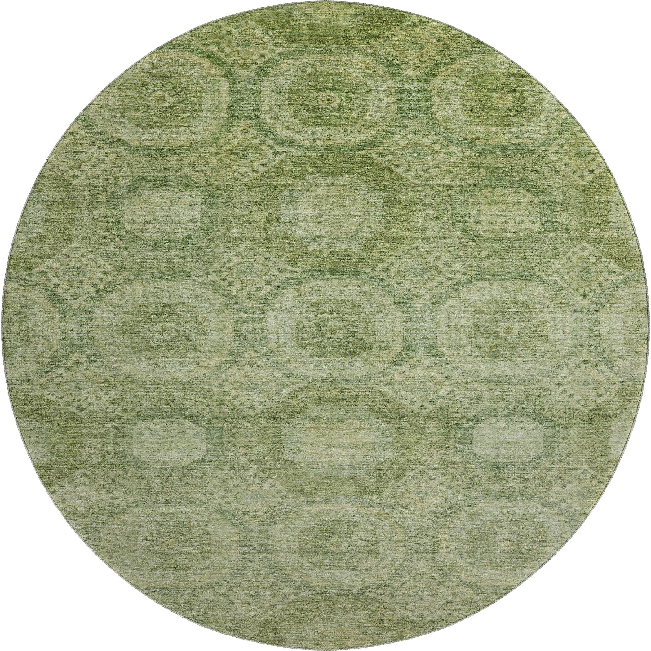 Sarajevo Machine Washable Transitional Aloe Green Rug 8' x 8' #shape_Round