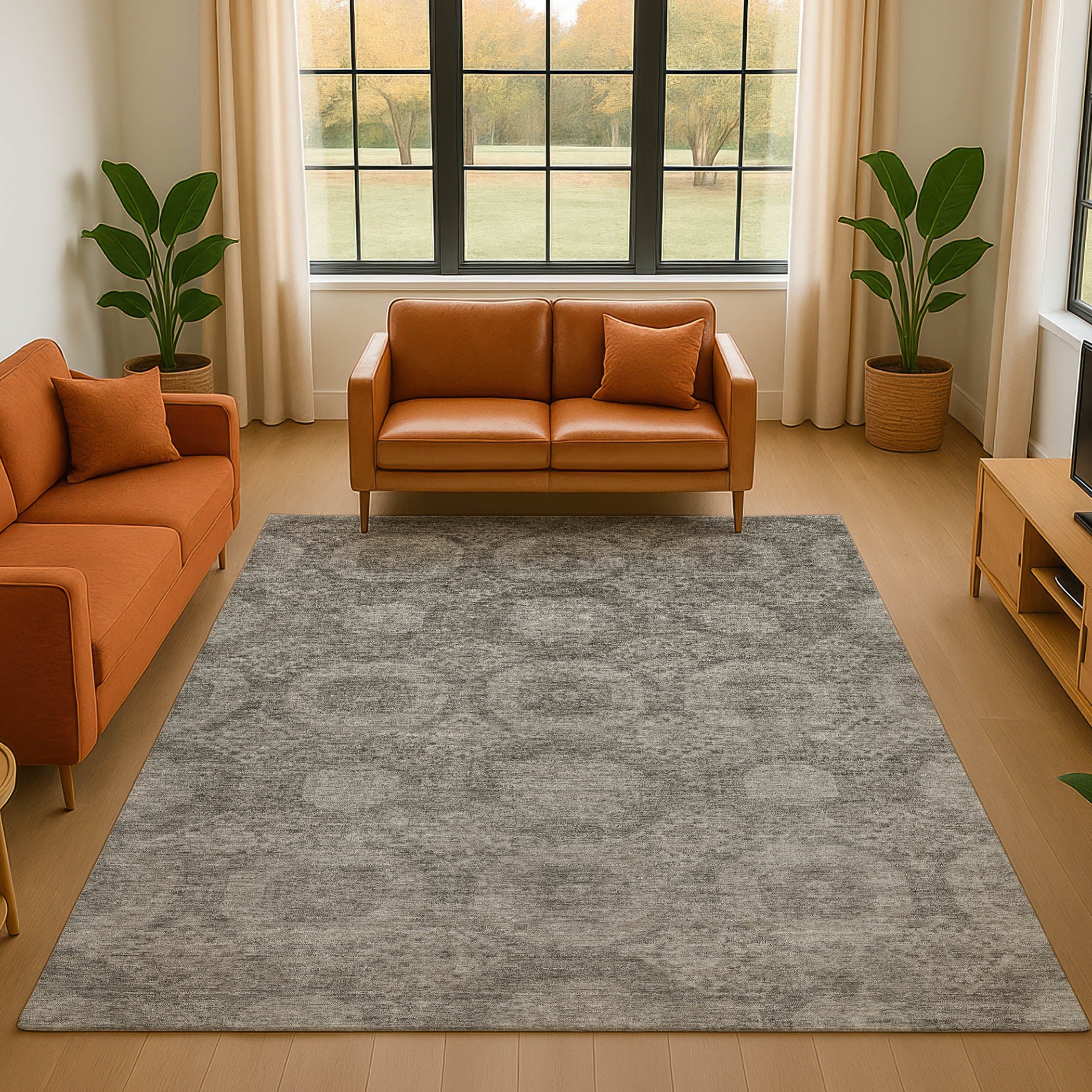 Sarajevo Machine Washable Transitional Pewter Gray Rug 2'6" x 3'10" #shape_Rectangle