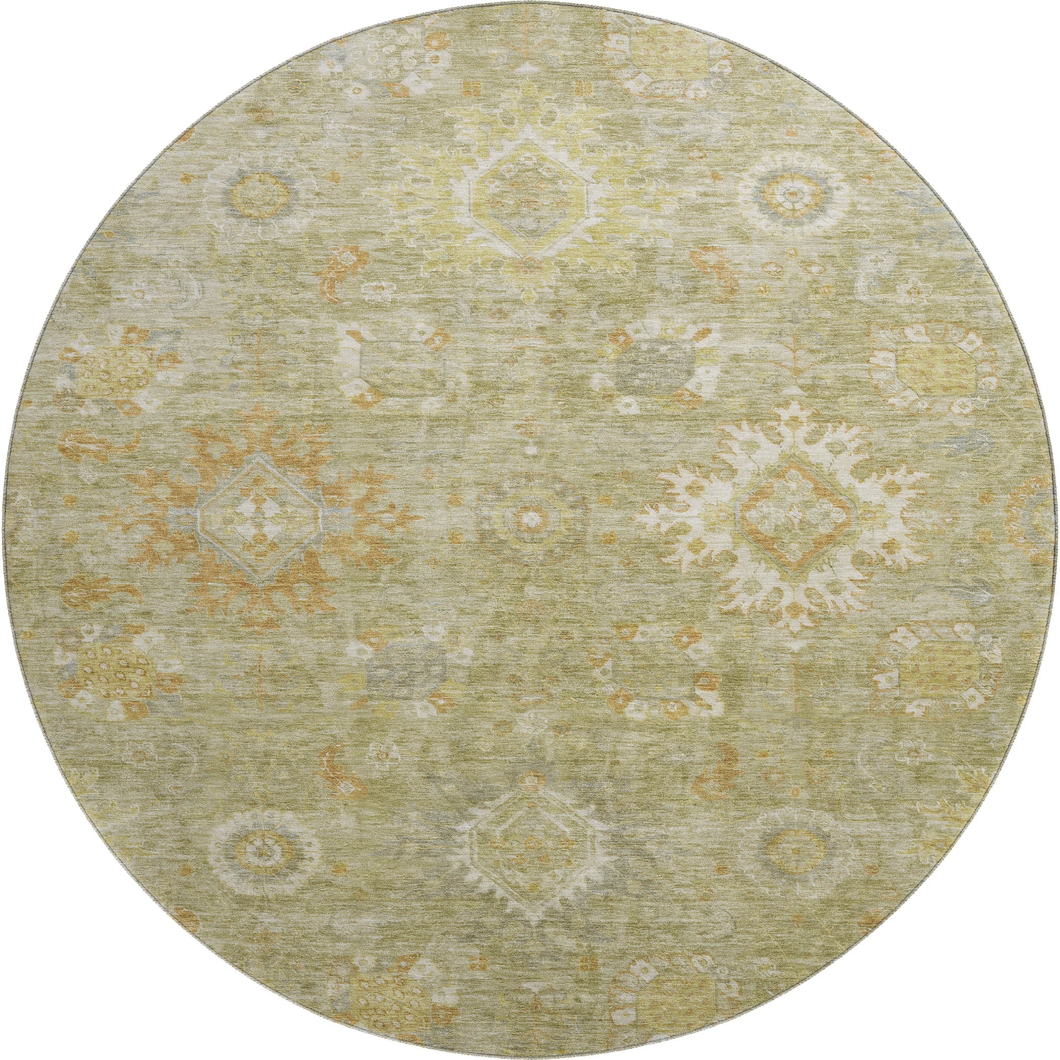 Rome Machine Washable Traditional Sage Green Rug 8' x 8' #shape_Round