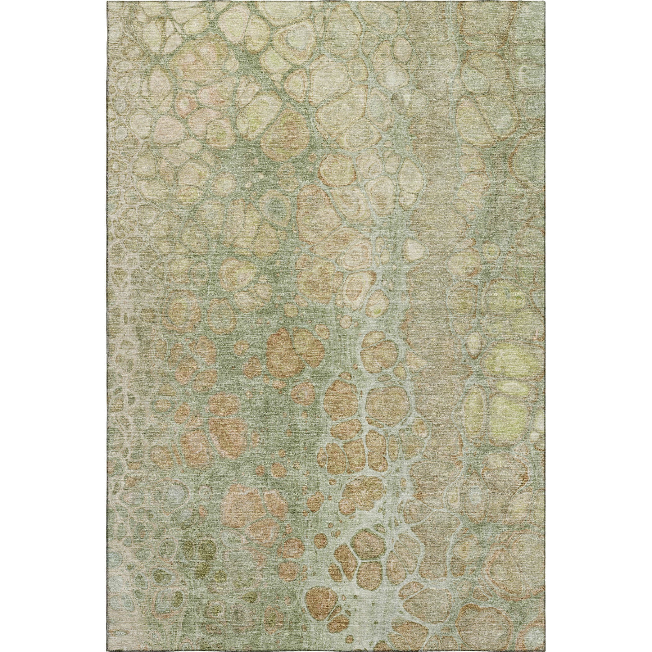 Jaipur Machine Washable Transitional Aloe Green Rug 2'6" x 3'10" #shape_Rectangle