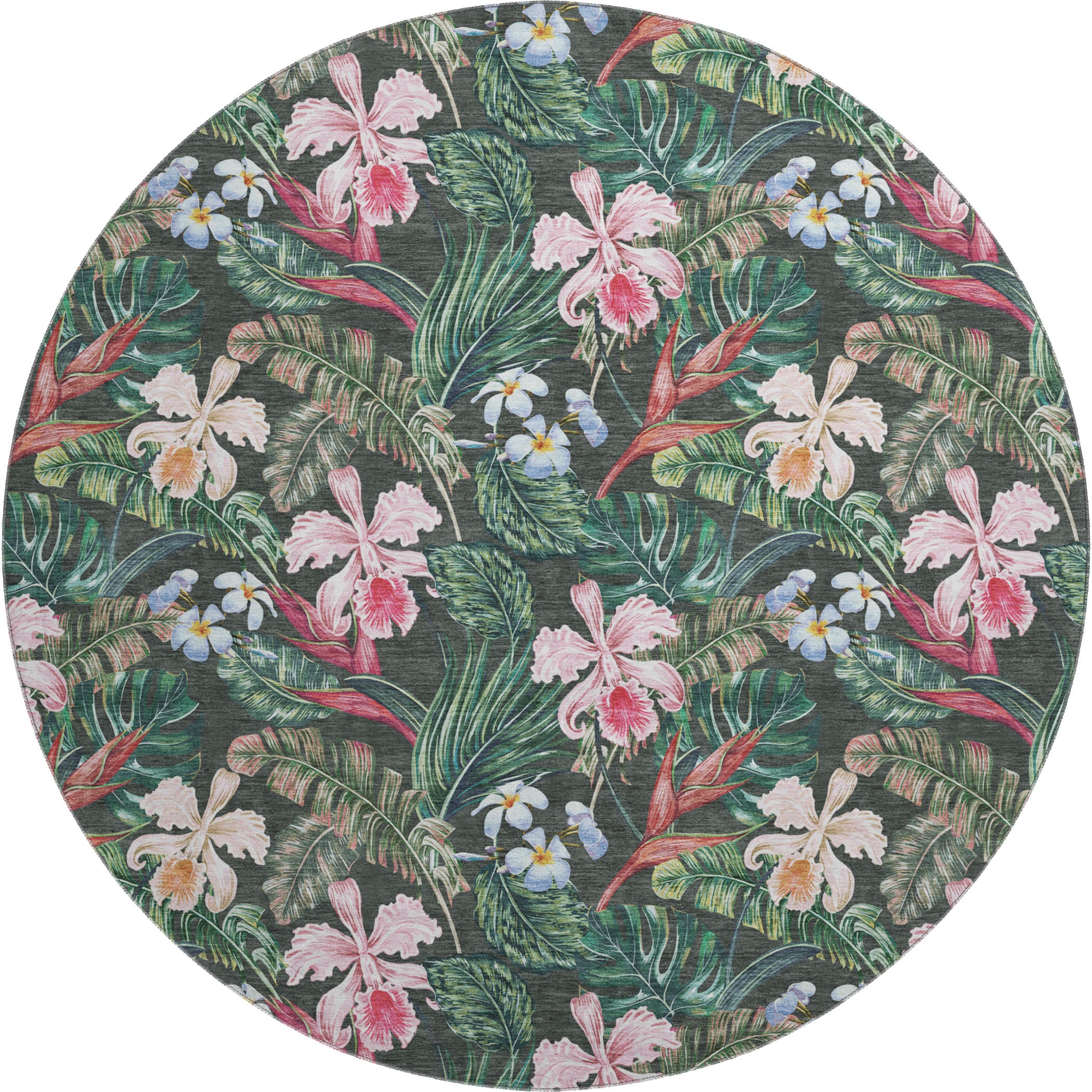 Queenstown Machine Washable Tropical Midnight Black Rug 8' x 8' #shape_Round
