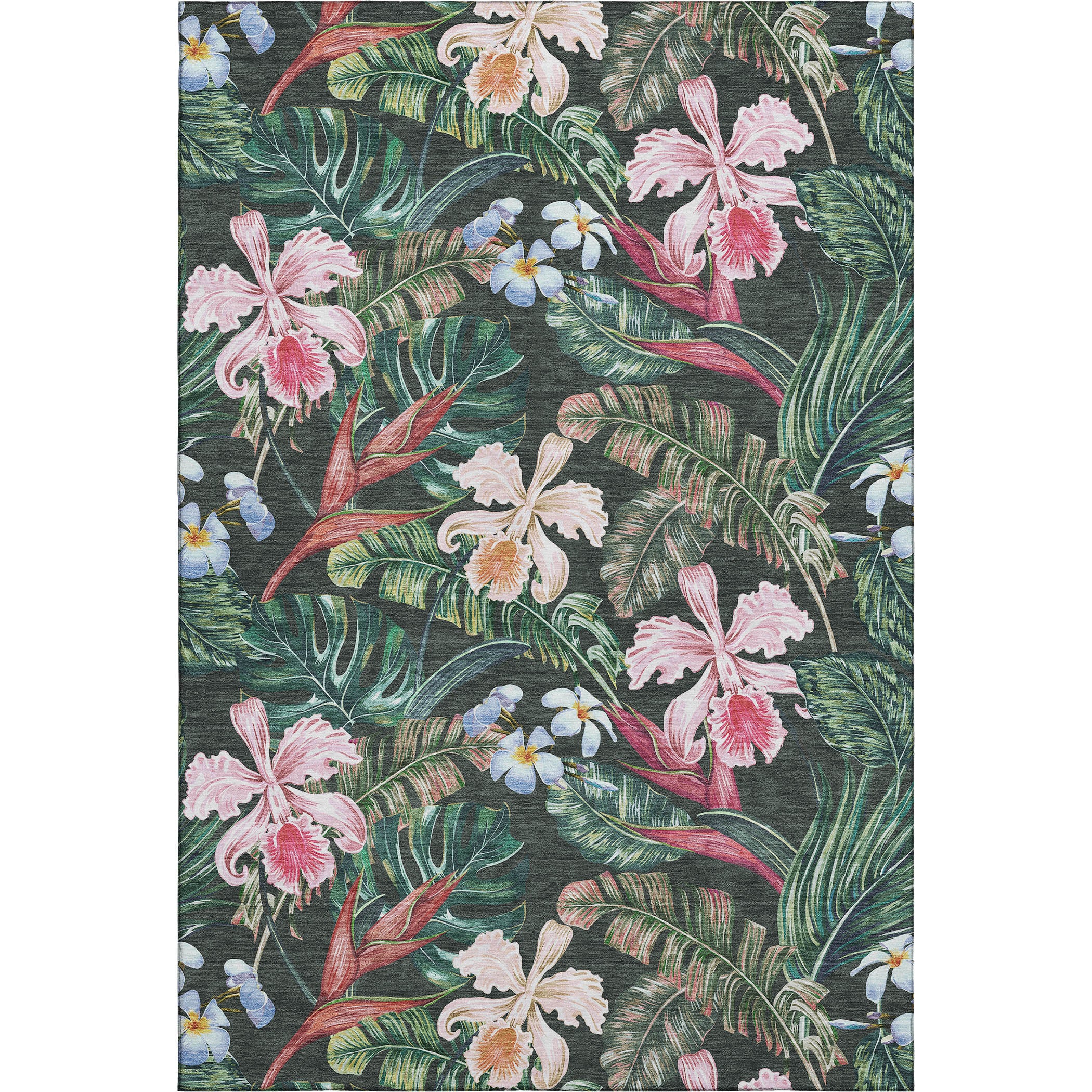 Queenstown Machine Washable Tropical Midnight Black Rug 2'6" x 3'10" #shape_Rectangle