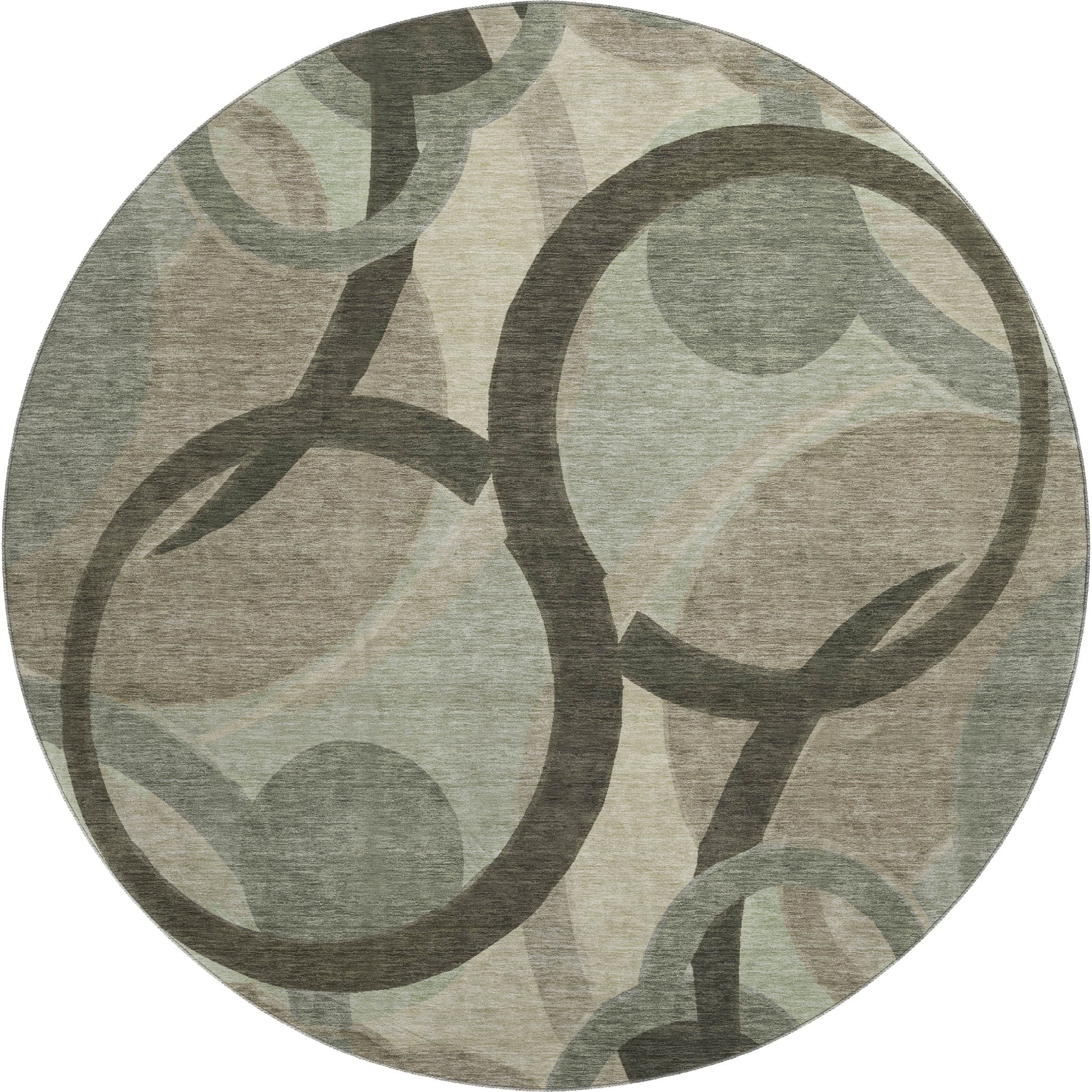 Chiang Mai Machine Washable Transitional Brown Rug 8' x 8' #shape_Round