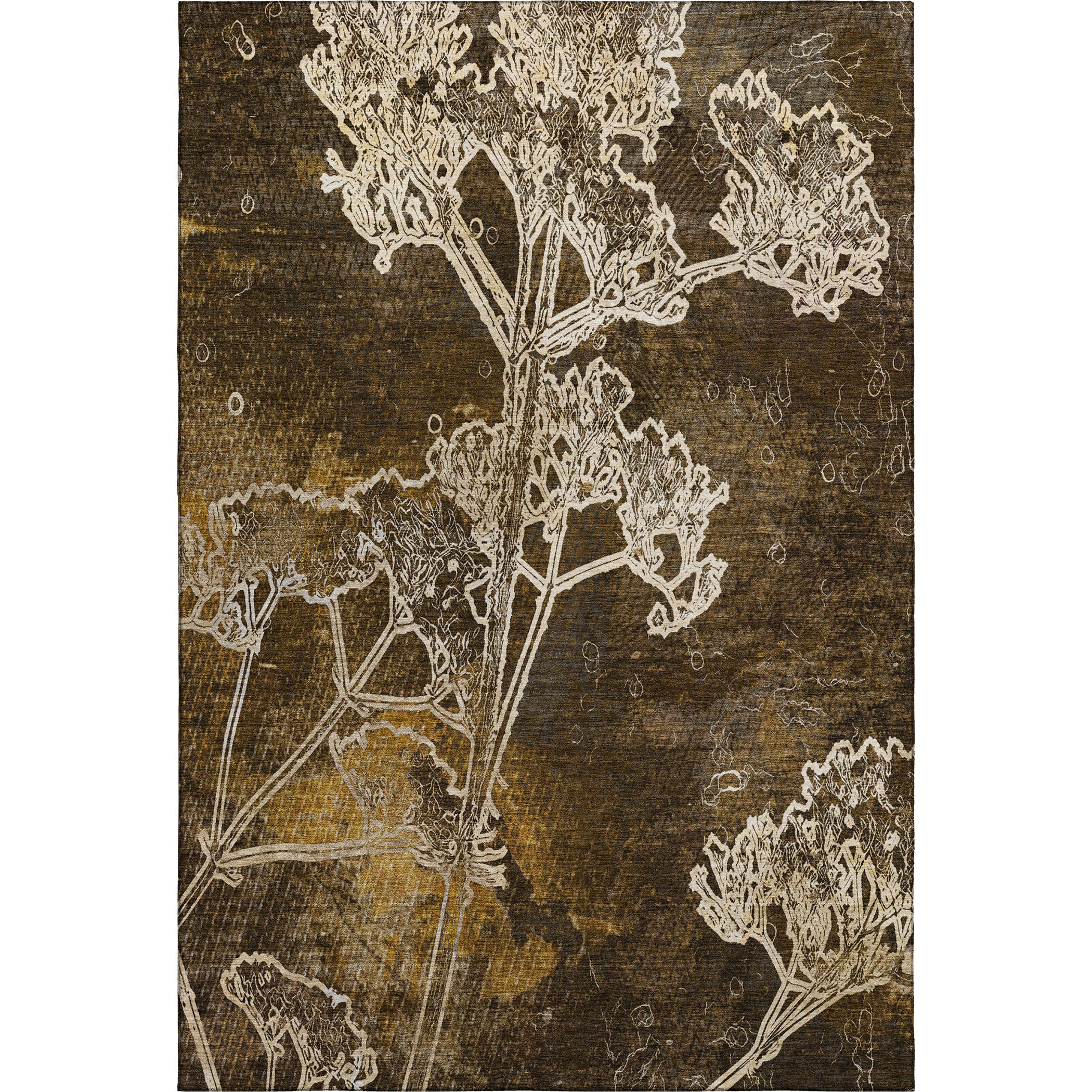 Salzburg Machine Washable Transitional Chocolate Brown Rug 2'6" x 3'10" #shape_Rectangle