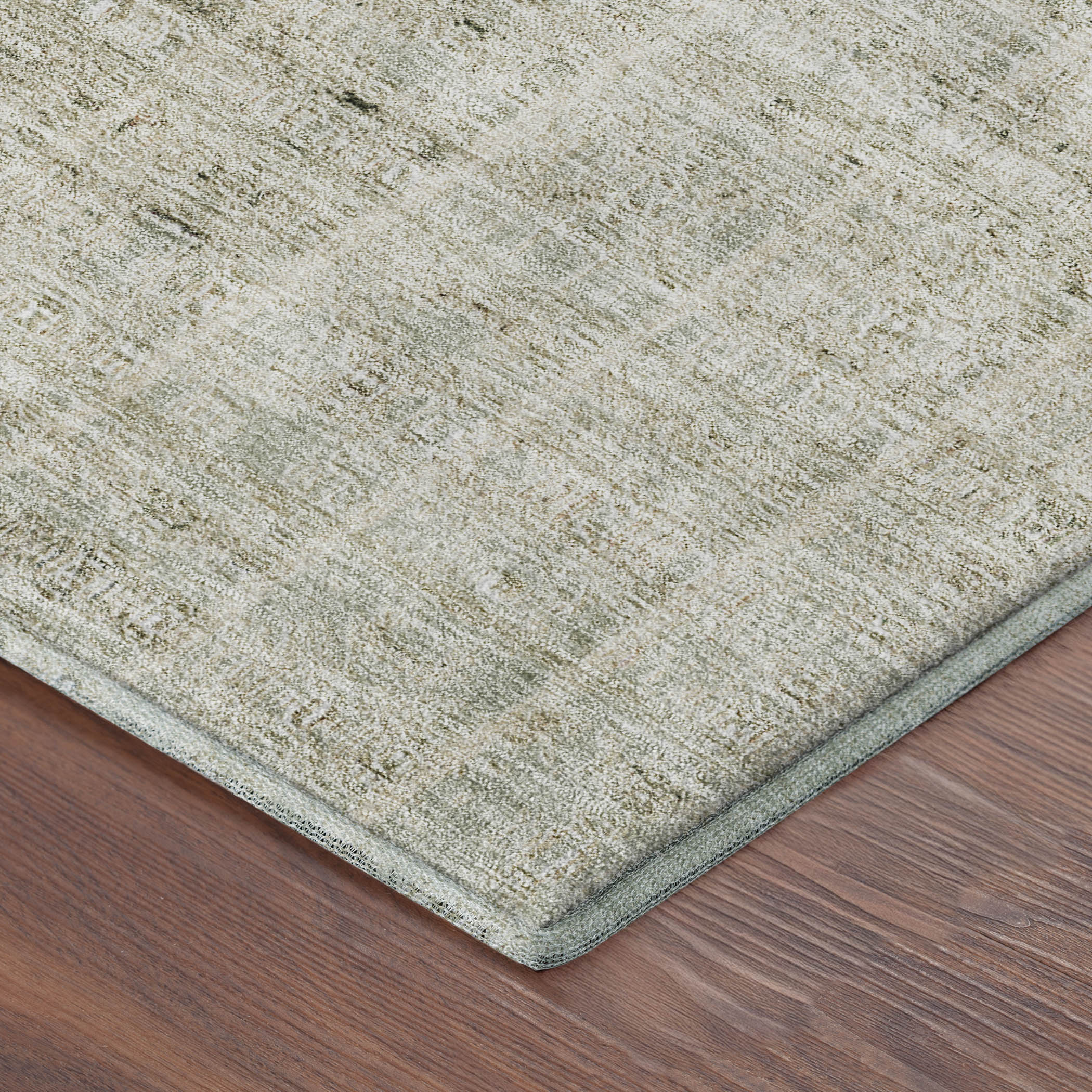 Salzburg Machine Washable Transitional Aloe Green Rug 1'8" x 2'6" #shape_Rectangle