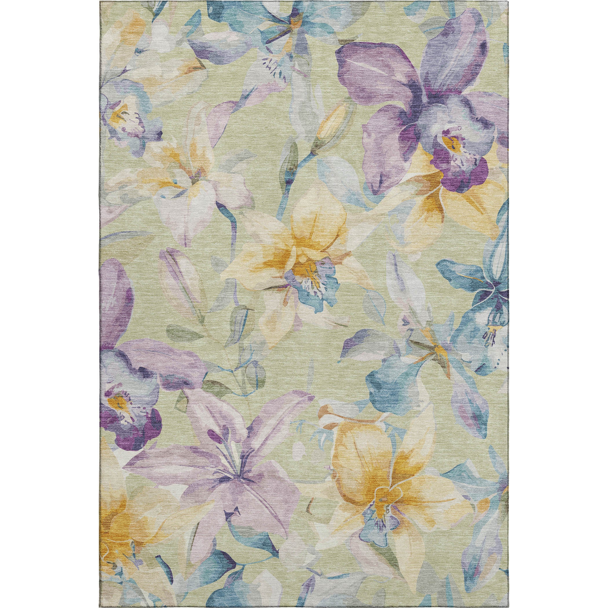 Lima Machine Washable Transitional Aloe Green Rug 2'6" x 3'10" #shape_Rectangle