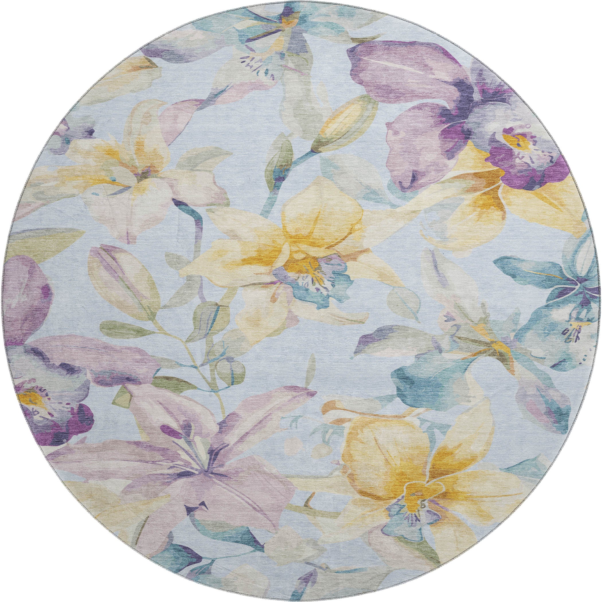 Lima Machine Washable Transitional Sky Blue Rug 8' x 8' #shape_Round