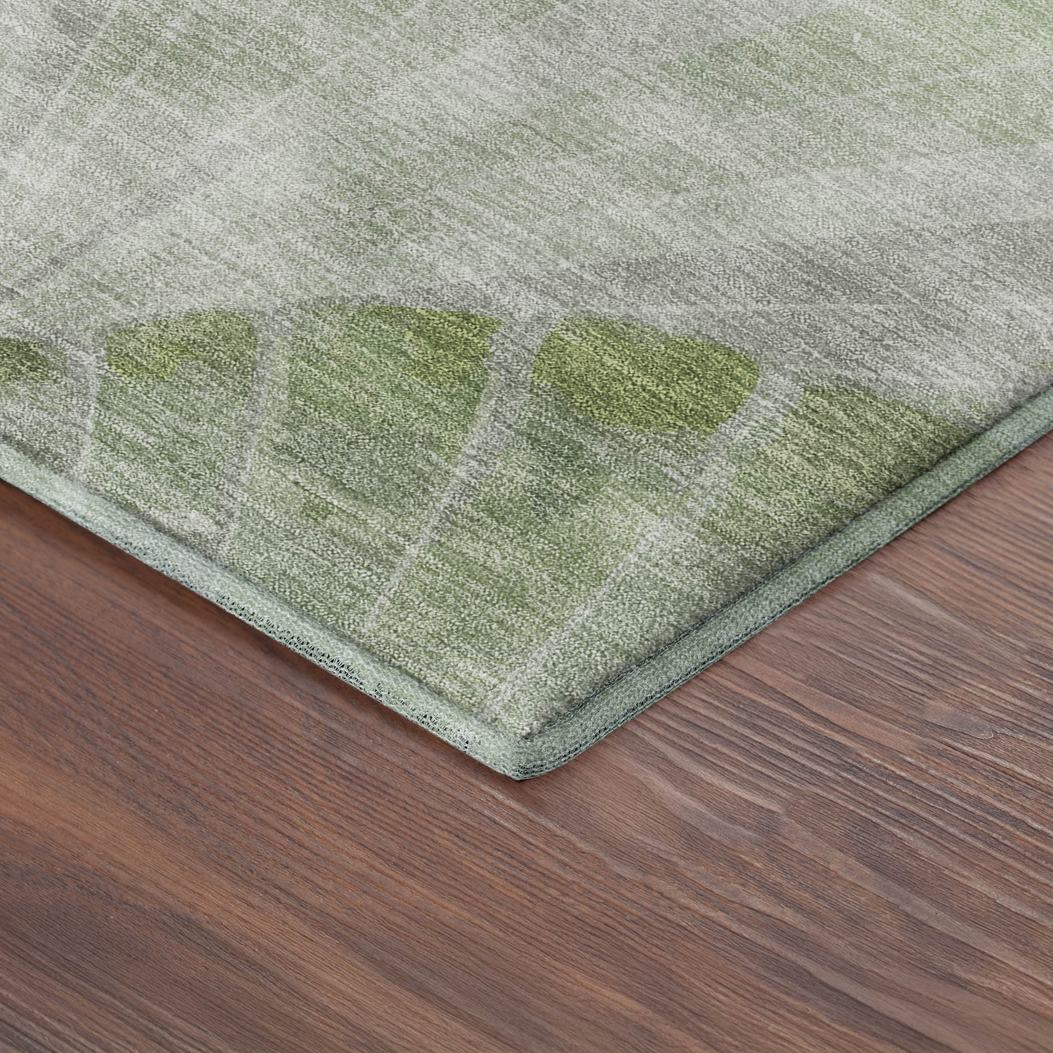 Chiang Mai Machine Washable Transitional Aloe Green Rug 1'8" x 2'6" #shape_Rectangle