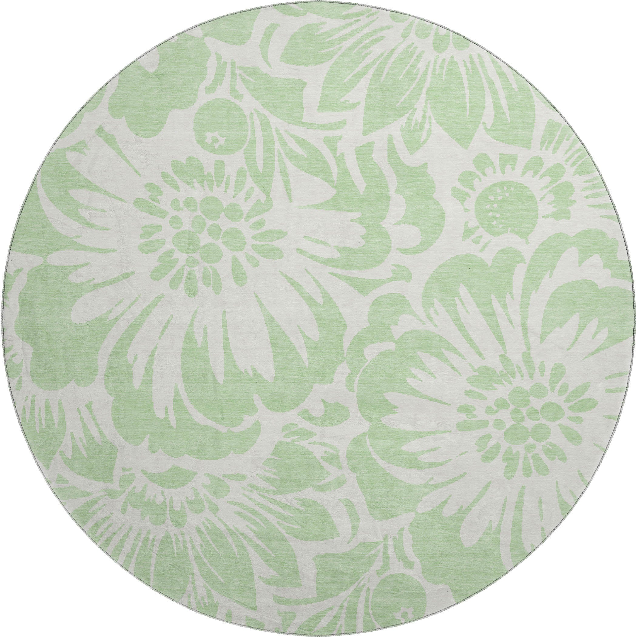 Cartagena Machine Washable Transitional Mint Green Rug 8' x 8' #shape_Round