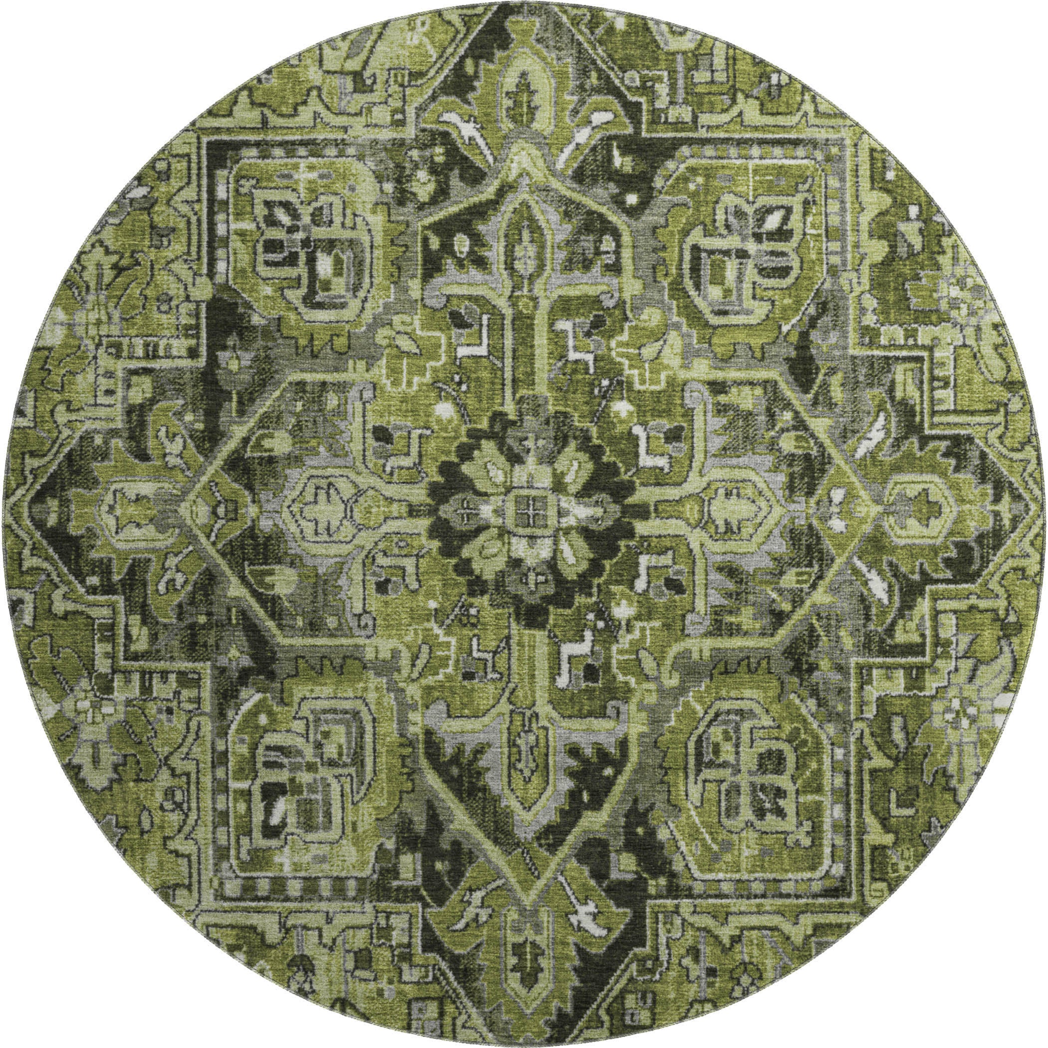 Bern Machine Washable Traditional Olive Green Rug 8' x 8' #shape_Round