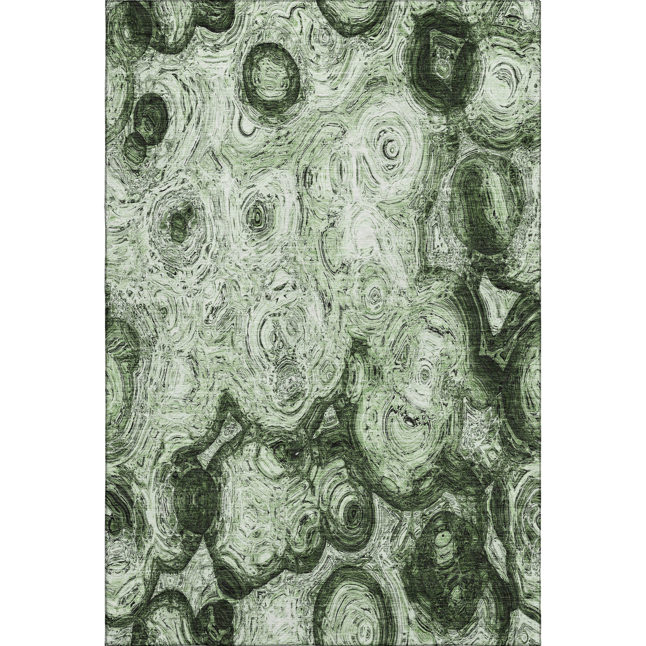 Cartagena Machine Washable Transitional Green Rug 2'6" x 3'10" #shape_Rectangle