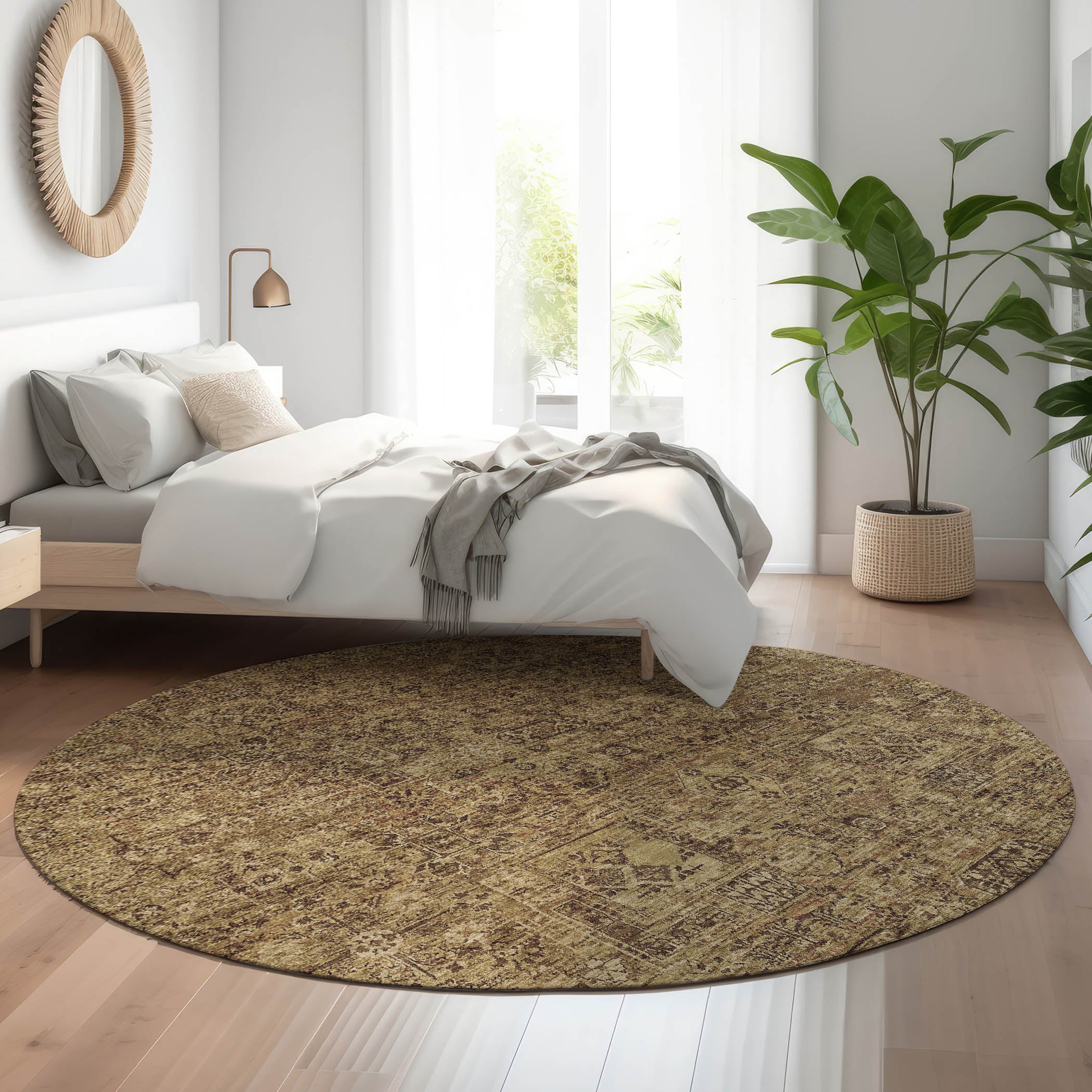 Antigua Machine Washable Transitional Mocha Brown Rug 8' x 8' #shape_Round