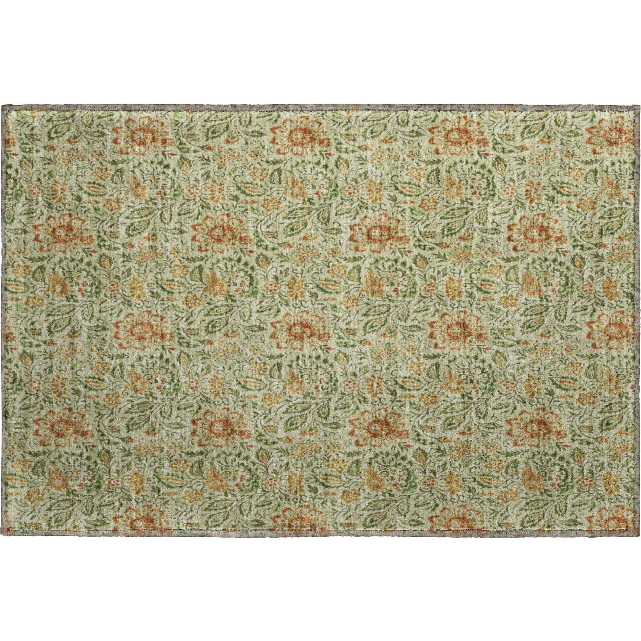 Kotor Machine Washable Transitional Aloe Green Rug 1'8" x 2'6" #shape_Rectangle