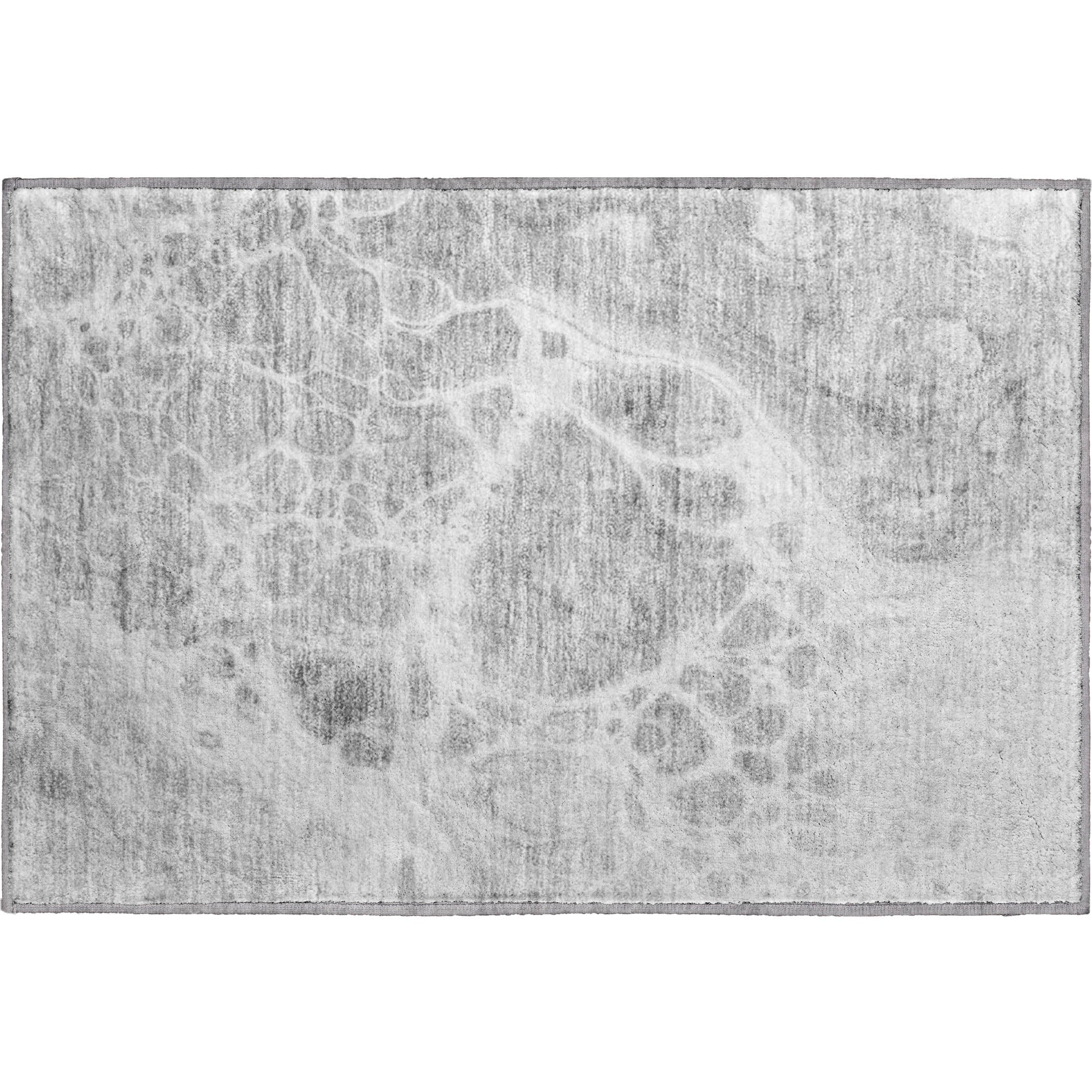 Cusco Machine Washable Transitional Gray Rug 1'8" x 2'6" #shape_Rectangle