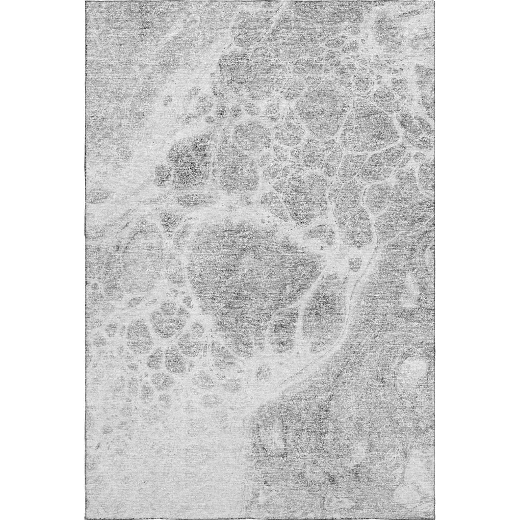 Cusco Machine Washable Transitional Gray Rug 2'6" x 3'10" #shape_Rectangle